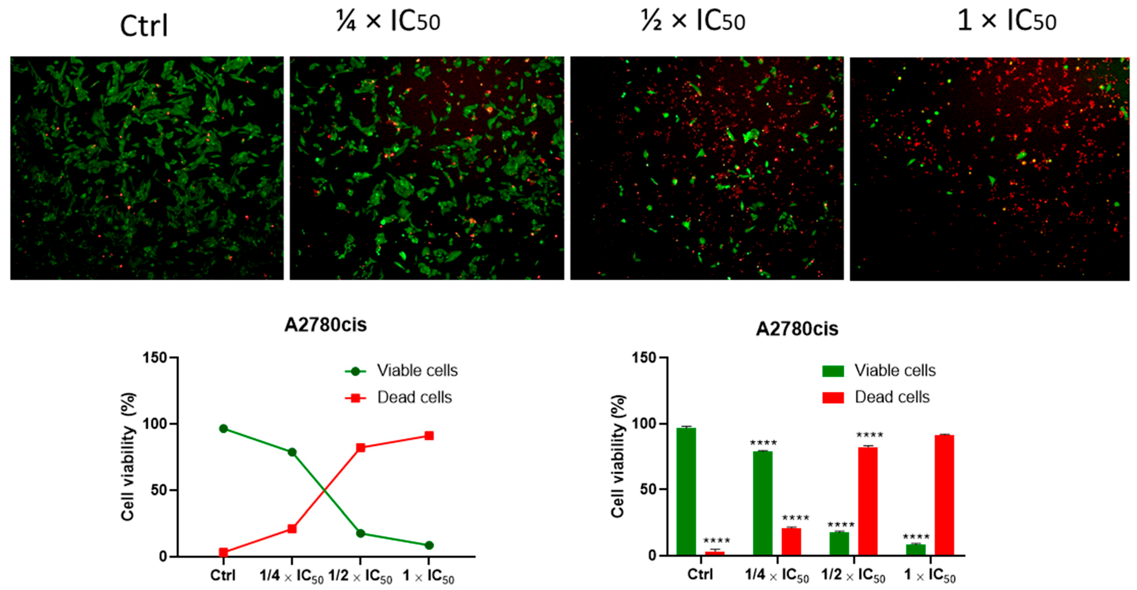 Pharmaceutics 17 00829 g007