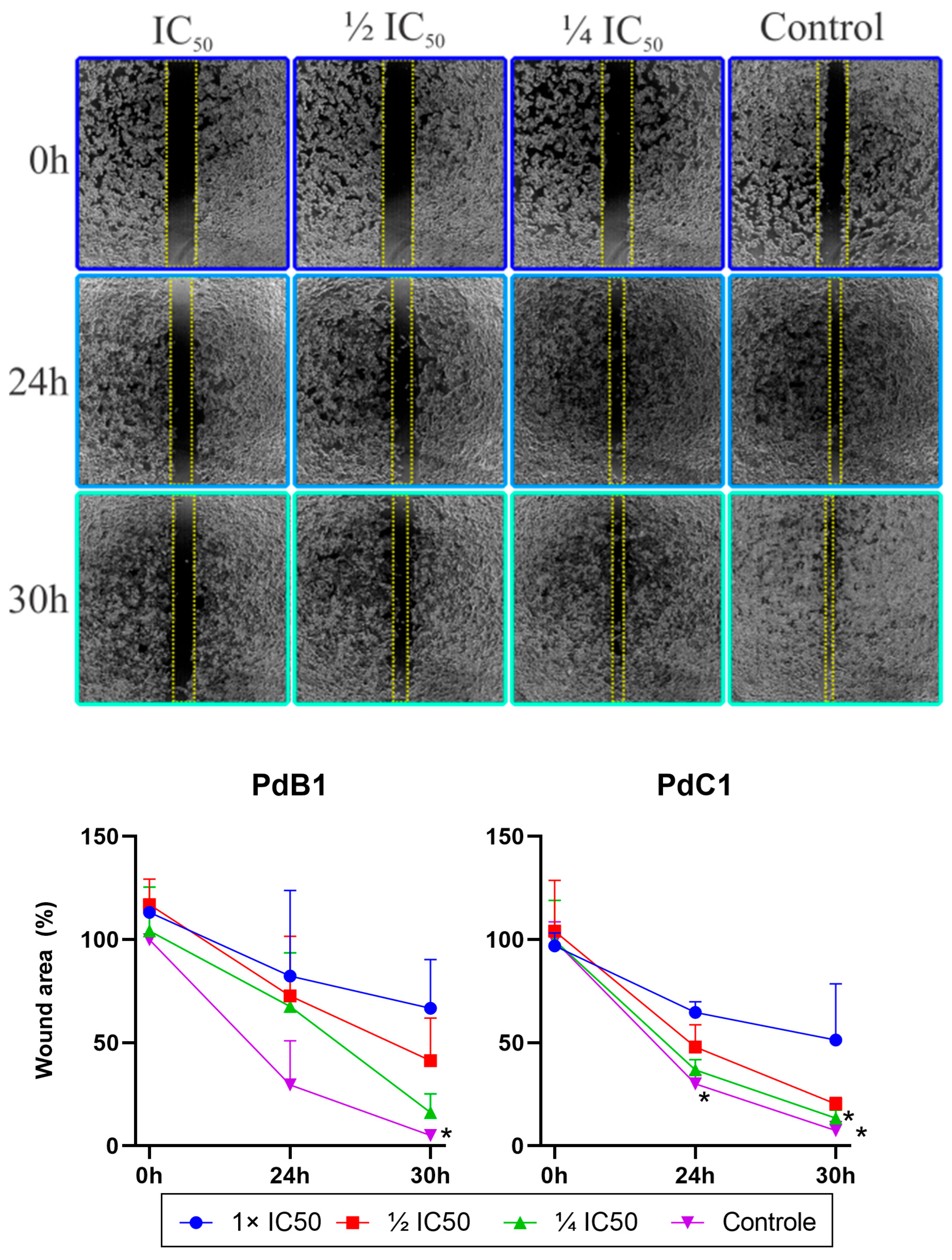 Pharmaceutics 17 00829 g008