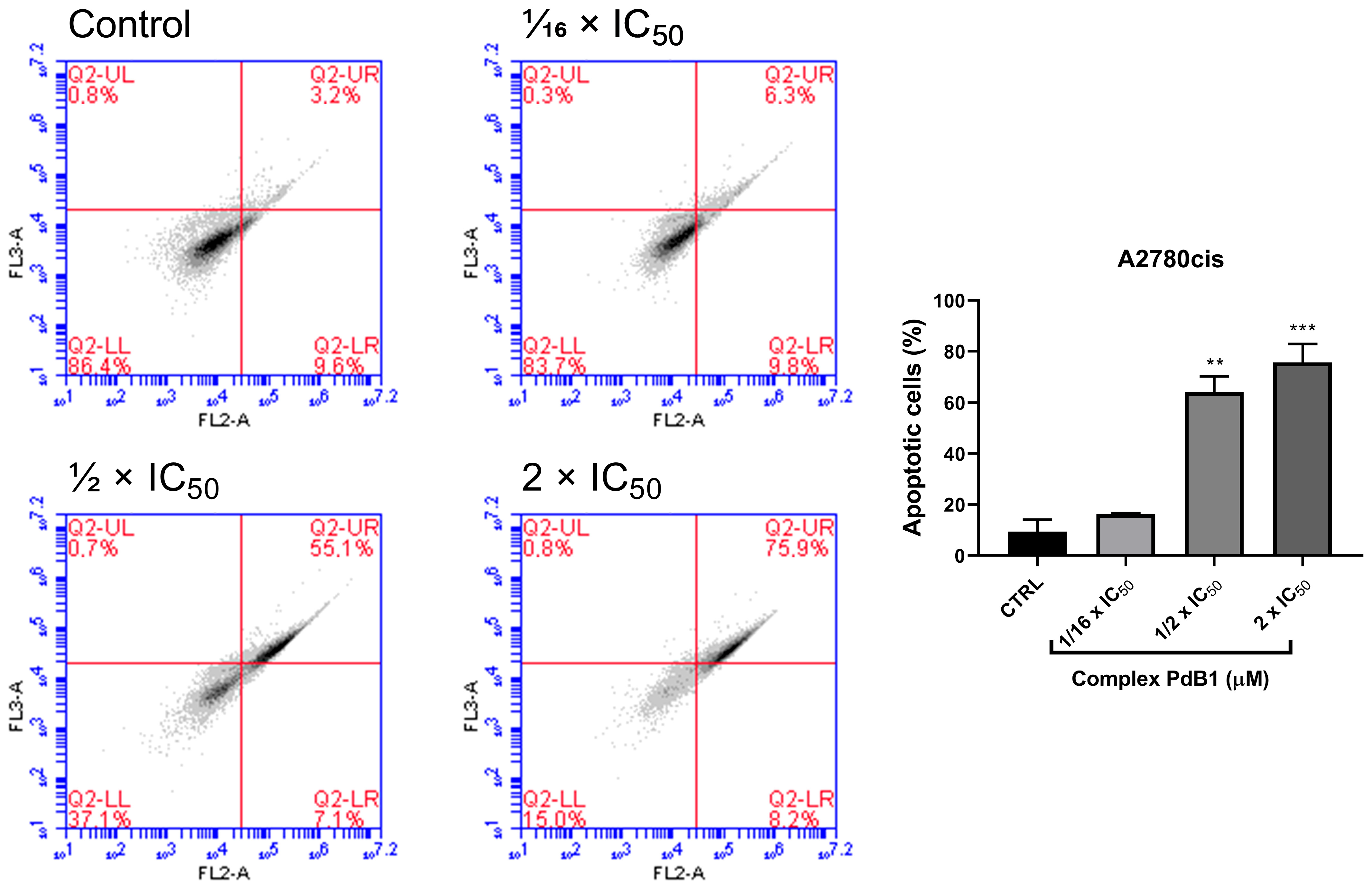 Pharmaceutics 17 00829 g010