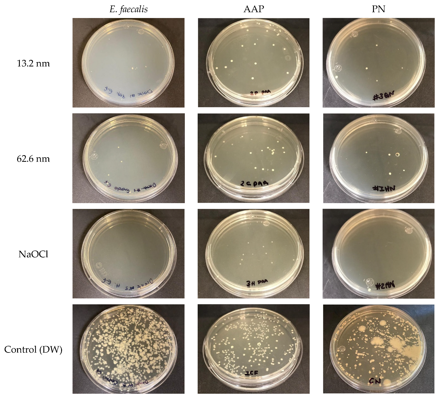Pharmaceutics 17 00831 g006