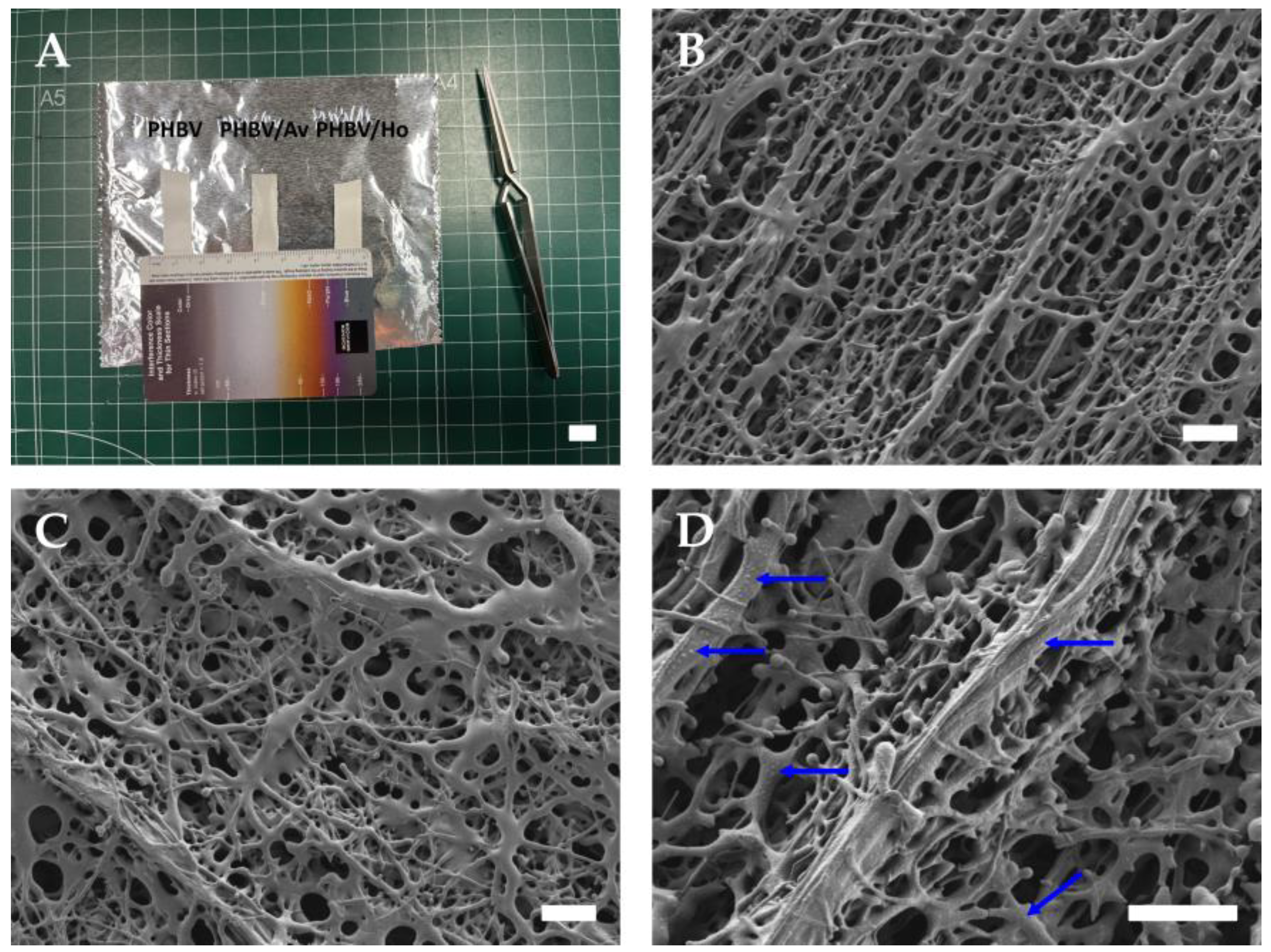 Pharmaceutics 17 00833 g003