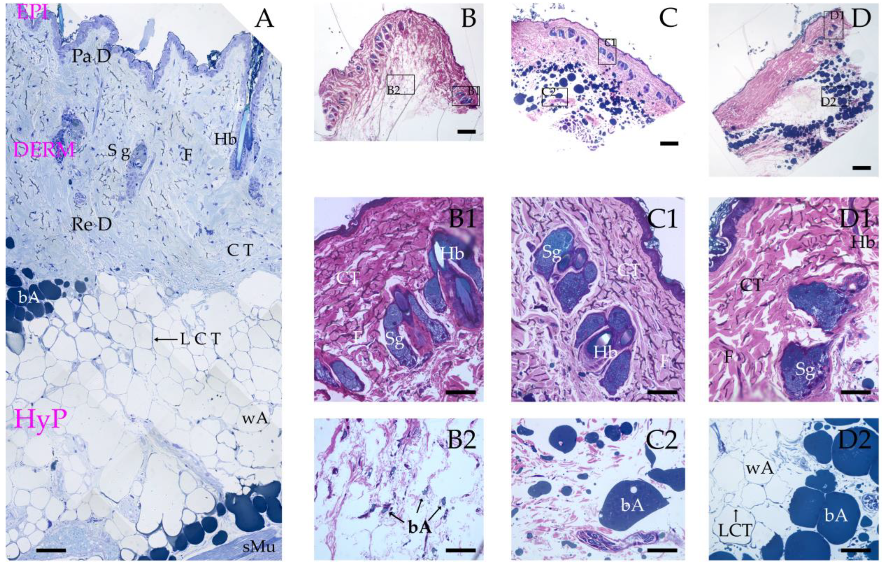 Pharmaceutics 17 00833 g004