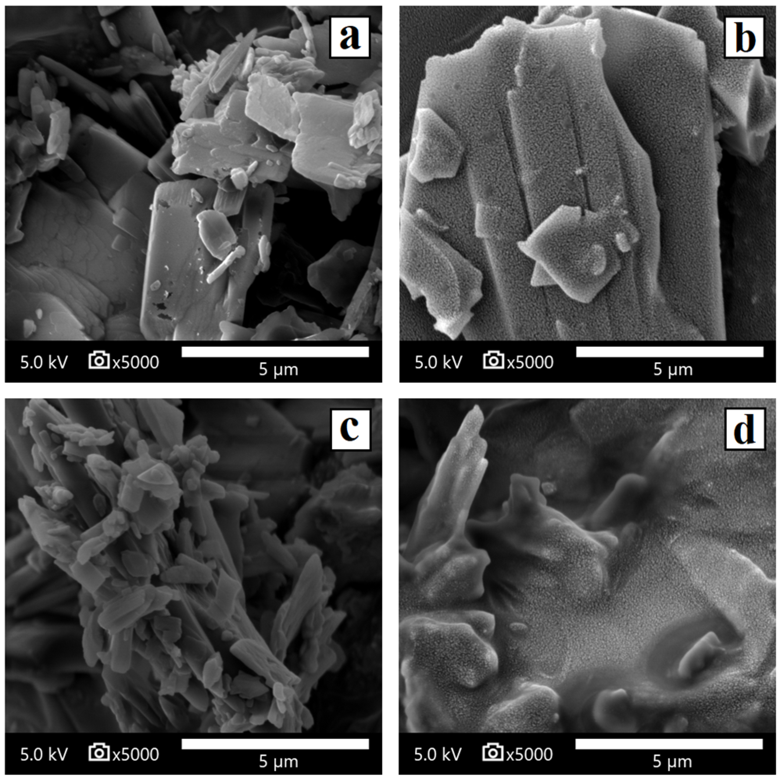 Pharmaceutics 17 00838 g005