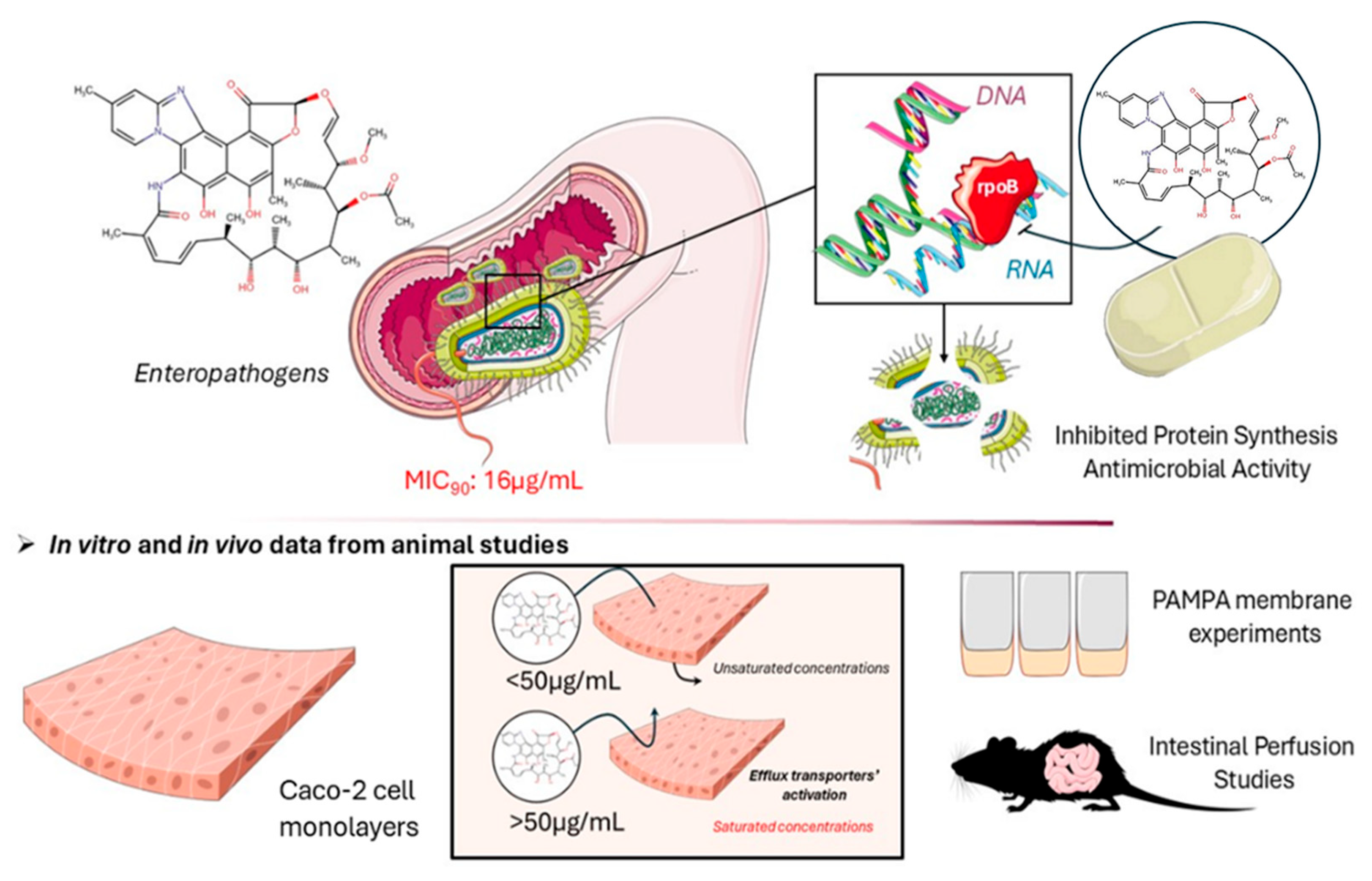 Pharmaceutics 17 00839 g003