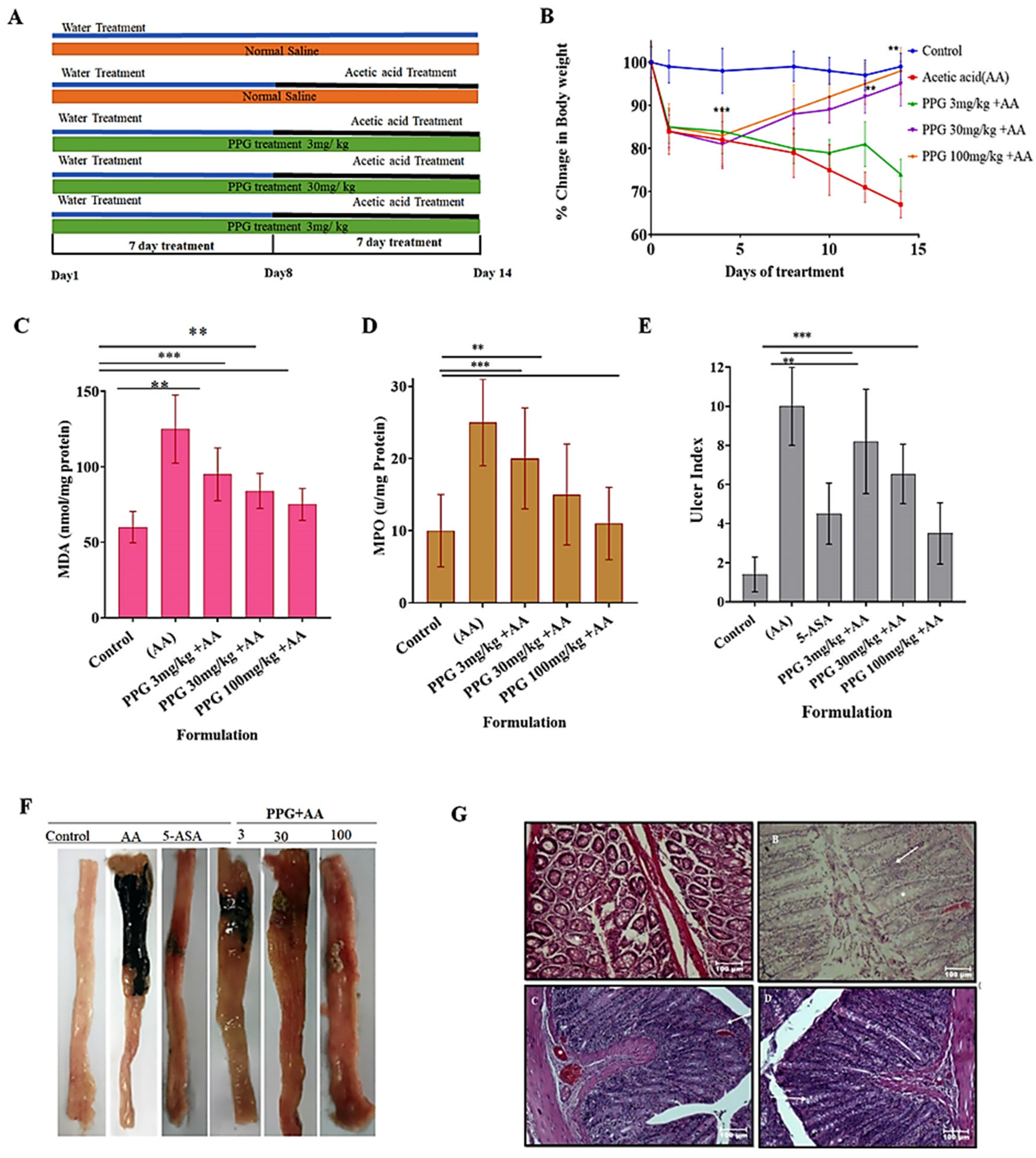 Pharmaceutics 17 00843 g003