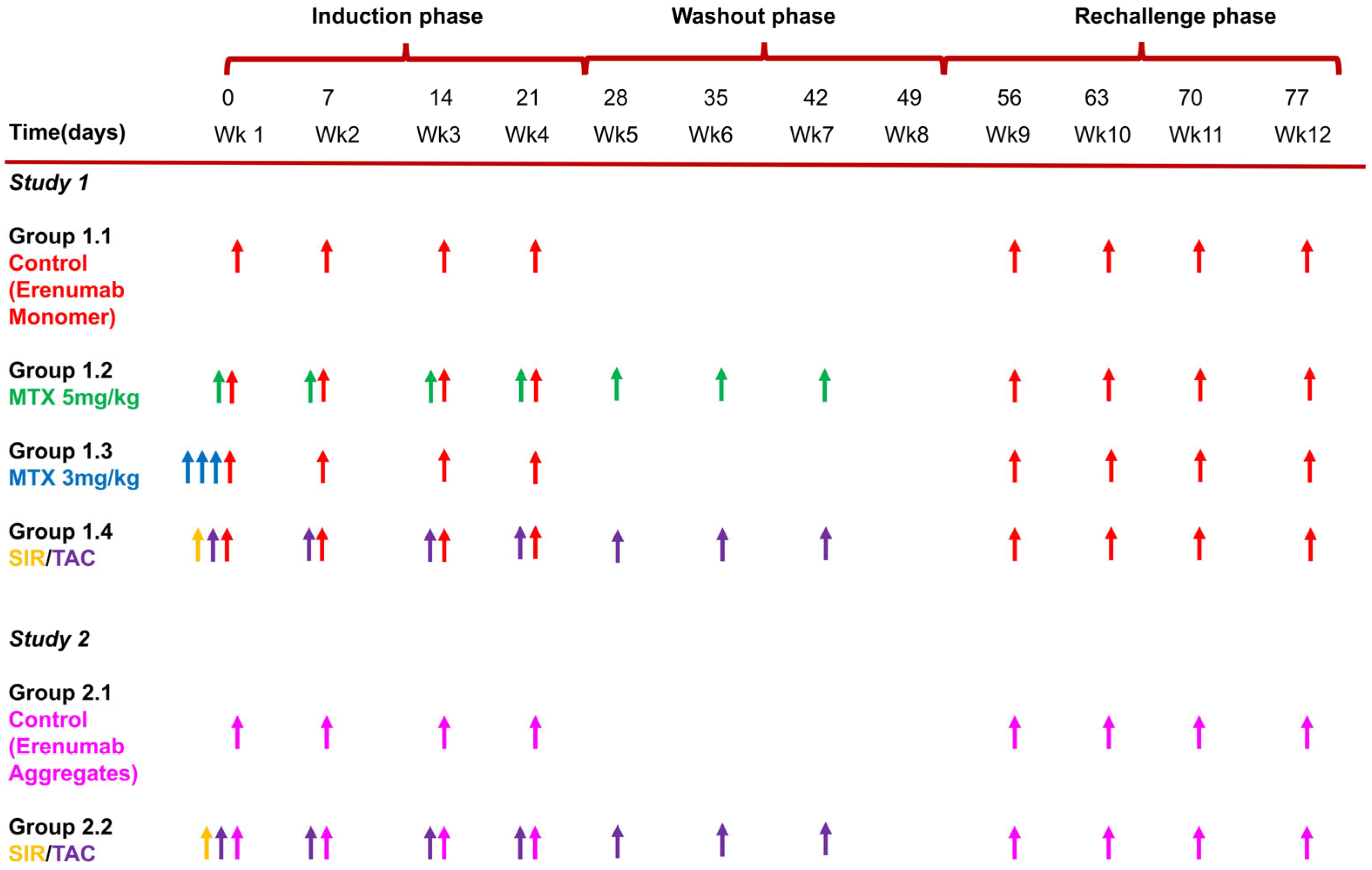 Pharmaceutics 17 00845 g001