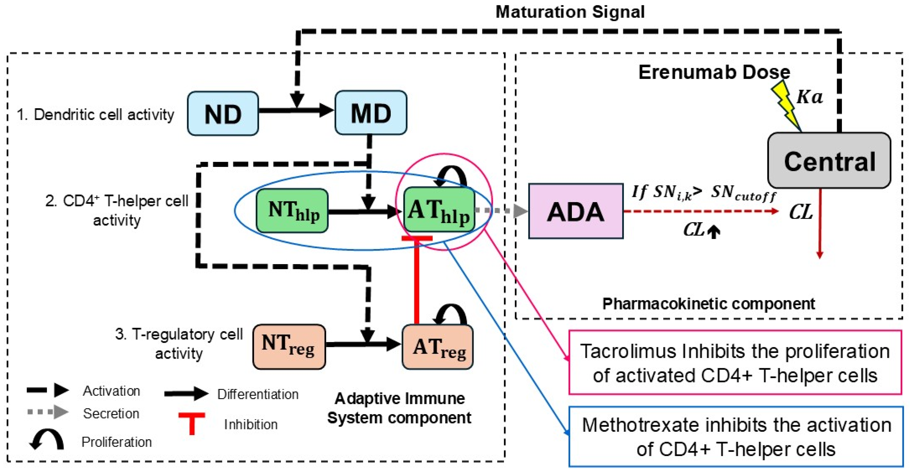 Pharmaceutics 17 00845 g002