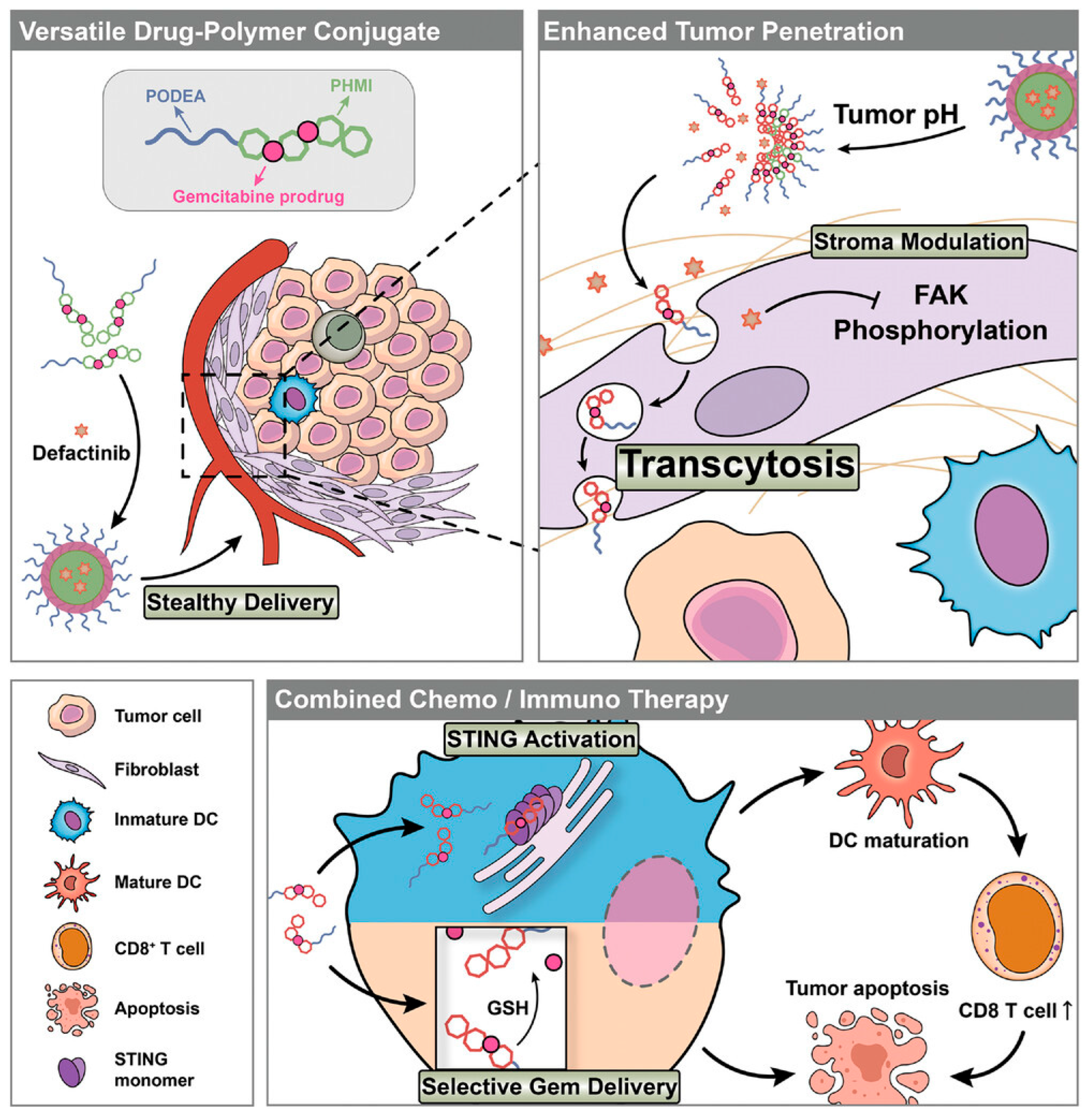 Pharmaceutics 17 00846 g001