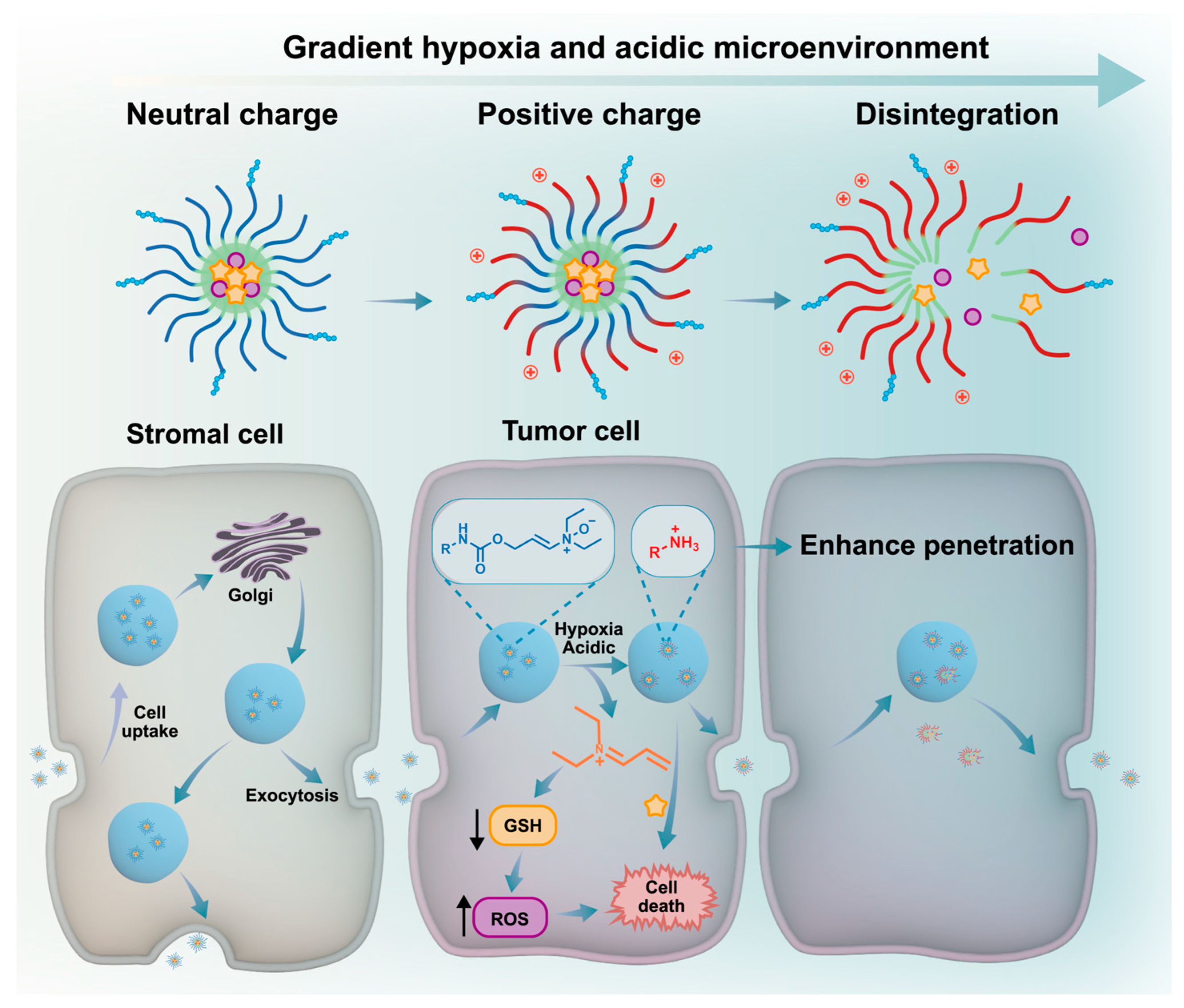 Pharmaceutics 17 00846 g002