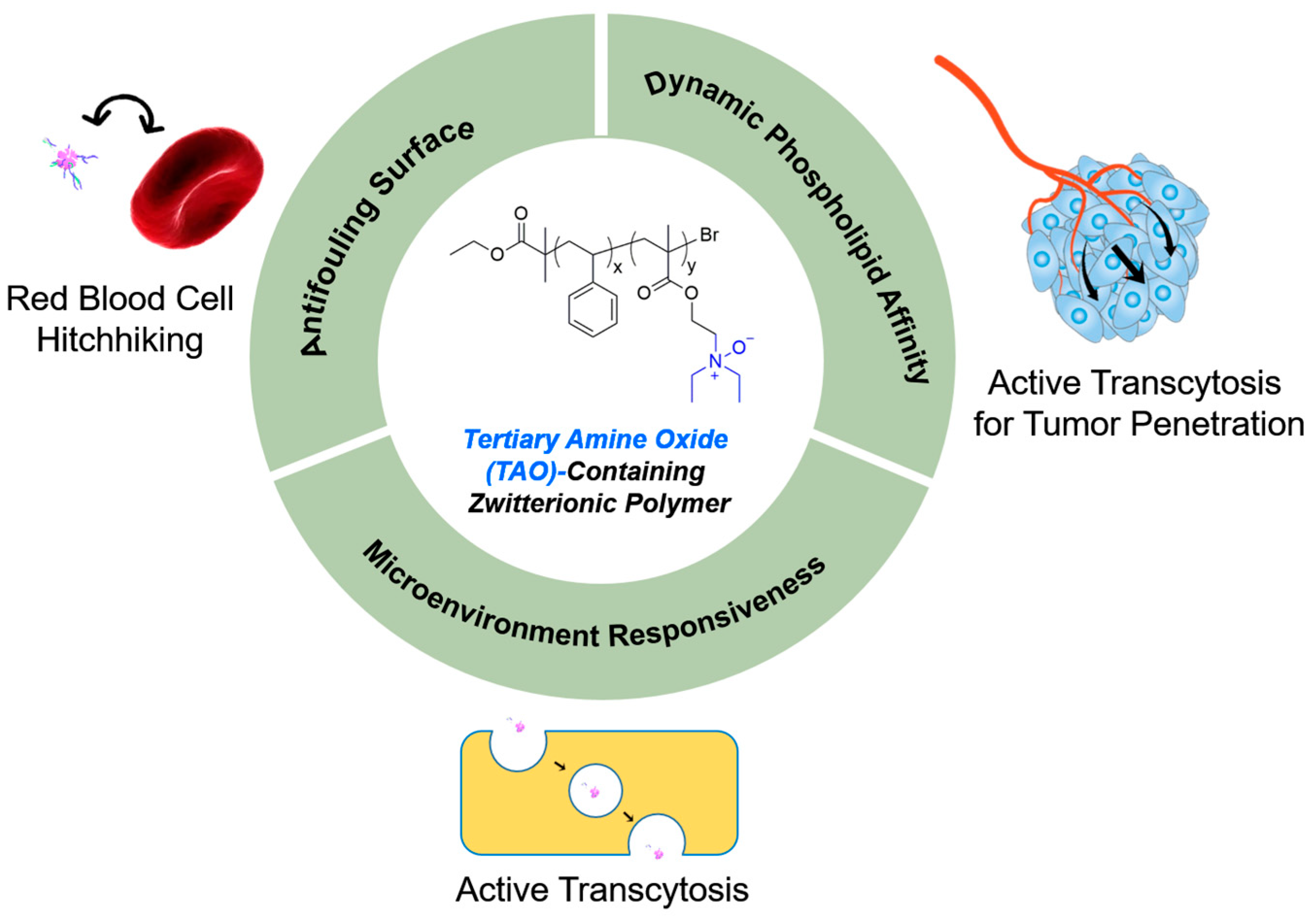 Pharmaceutics 17 00846 sch001