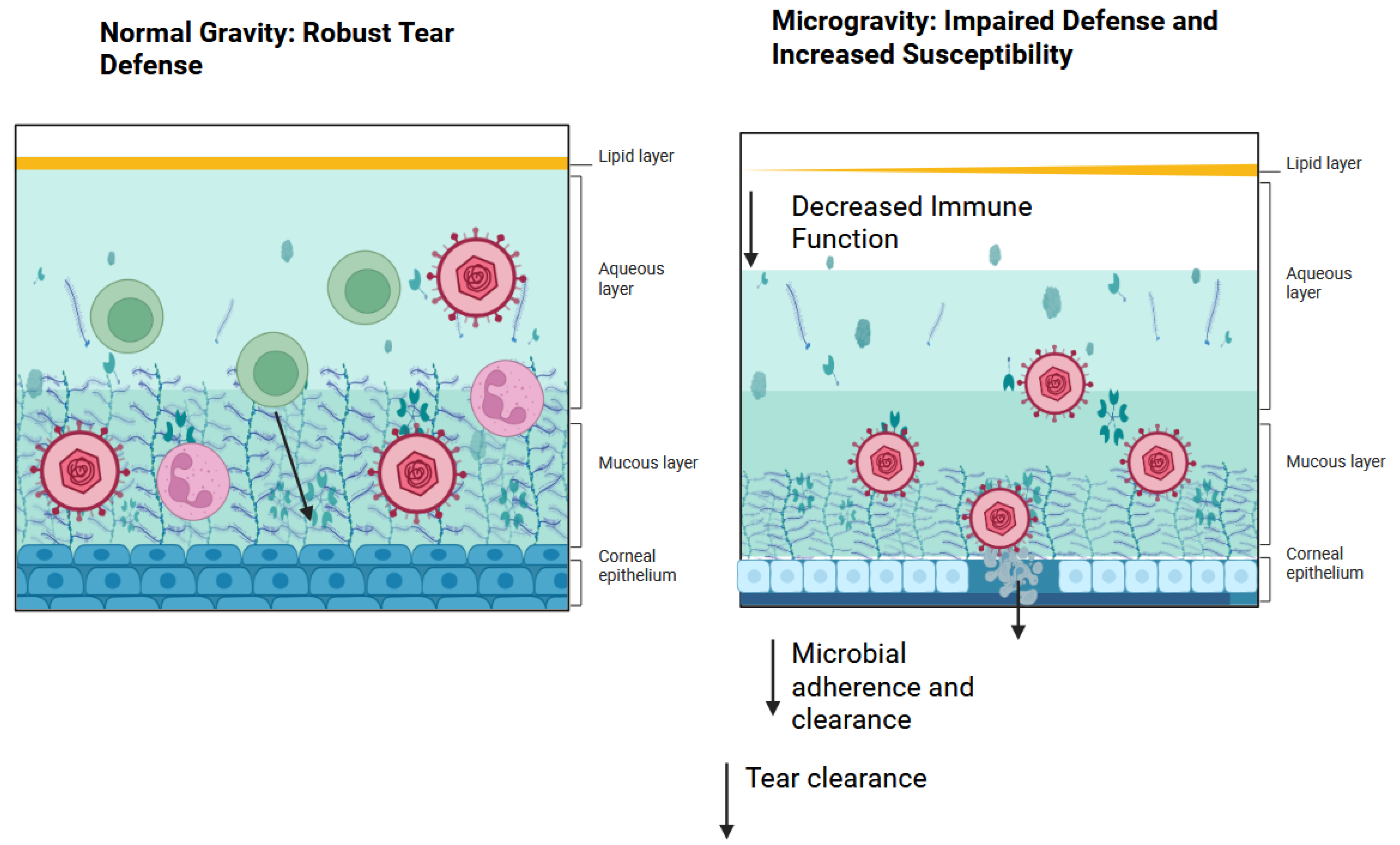 Pharmaceutics 17 00847 g001