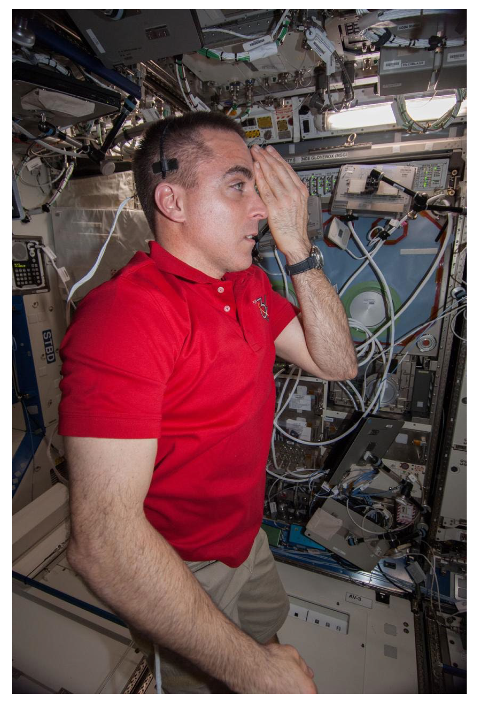 Pharmaceutics 17 00847 g002