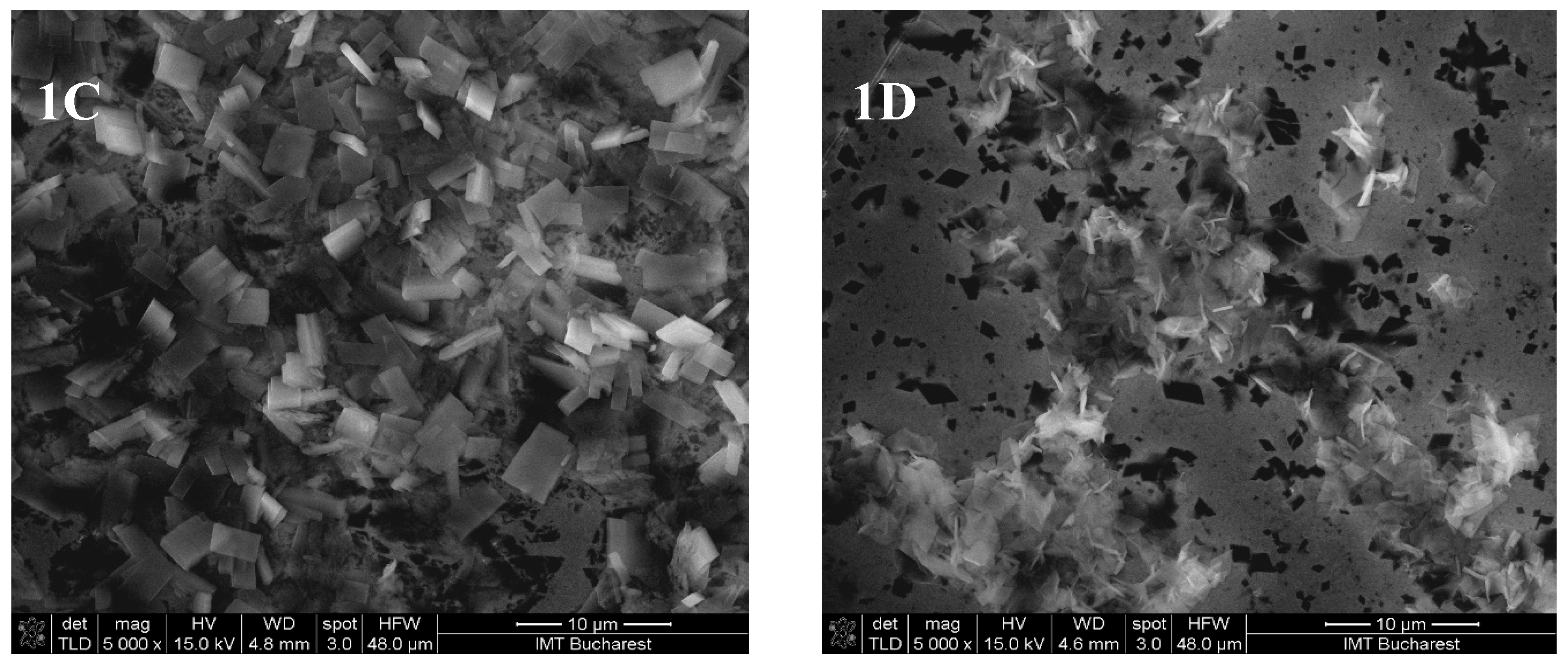 Pharmaceutics 17 00852 g004a