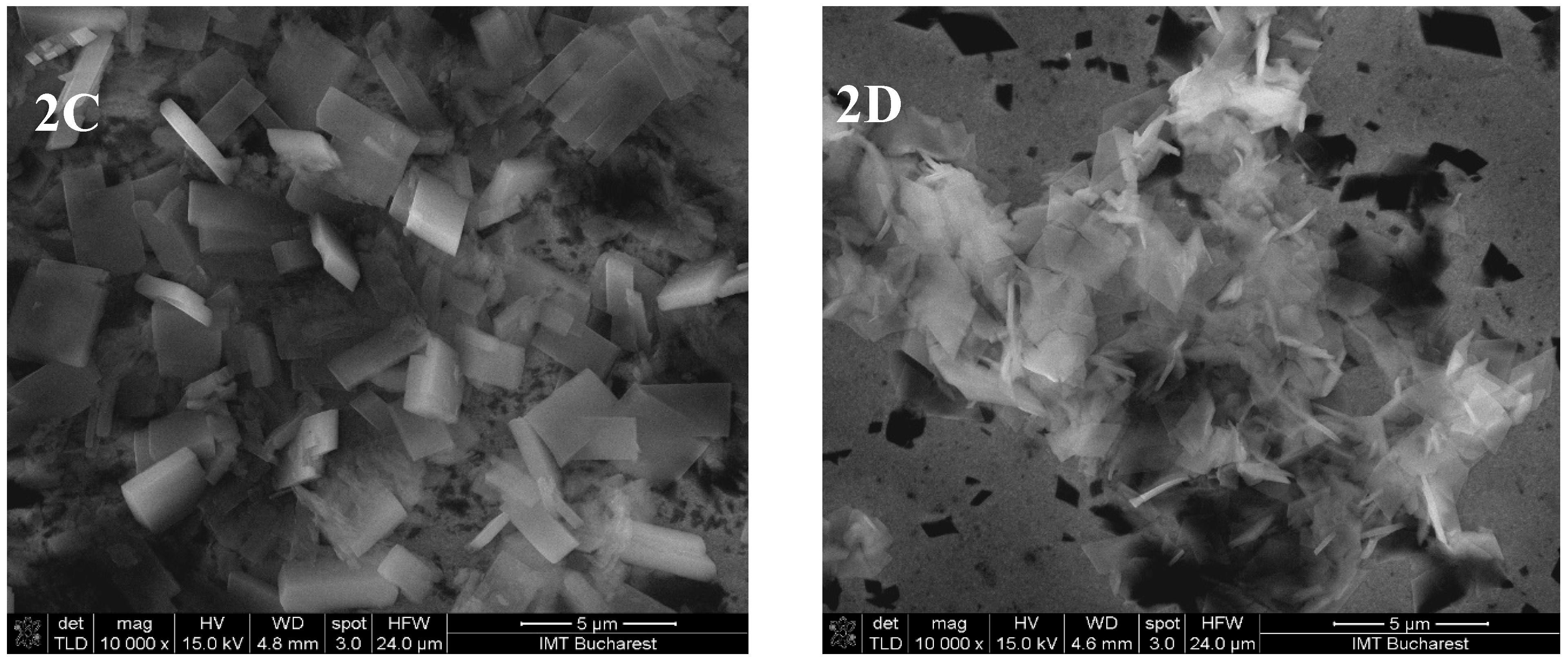Pharmaceutics 17 00852 g004b