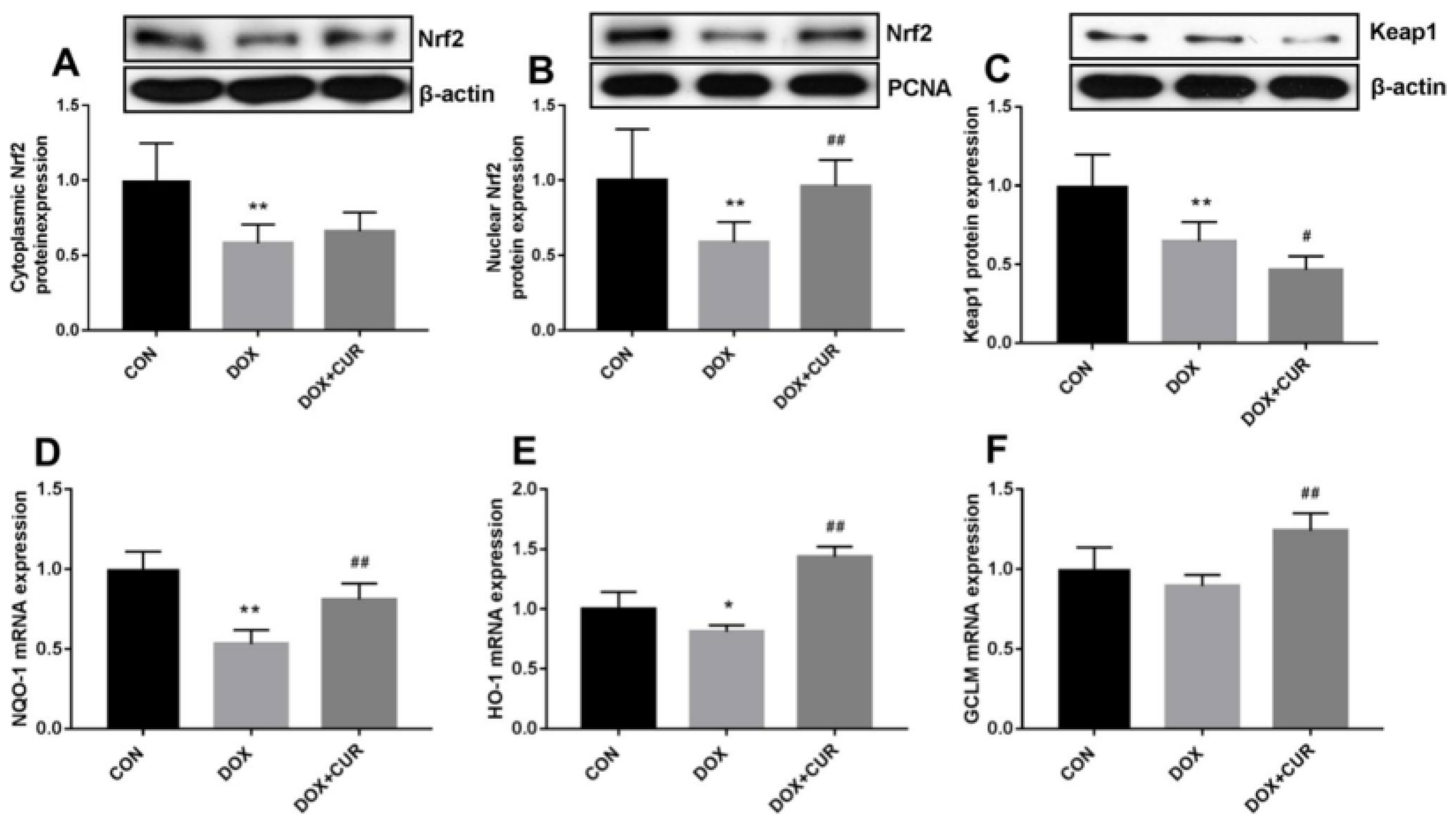 Pharmaceutics 17 00855 g002 Pharmaceutics 17 00855 g002