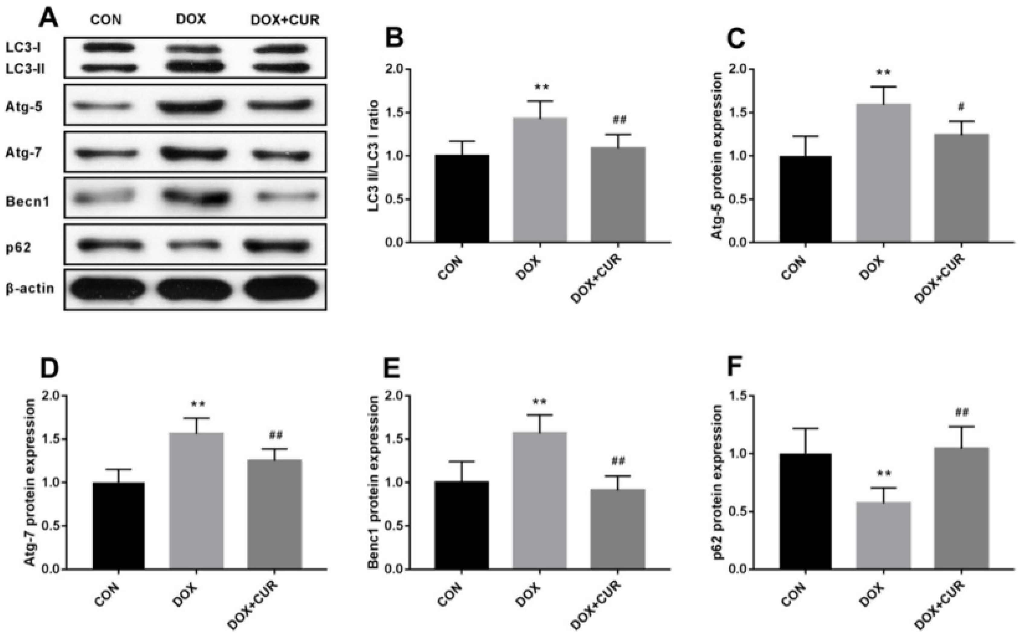 Pharmaceutics 17 00855 g003 Pharmaceutics 17 00855 g003