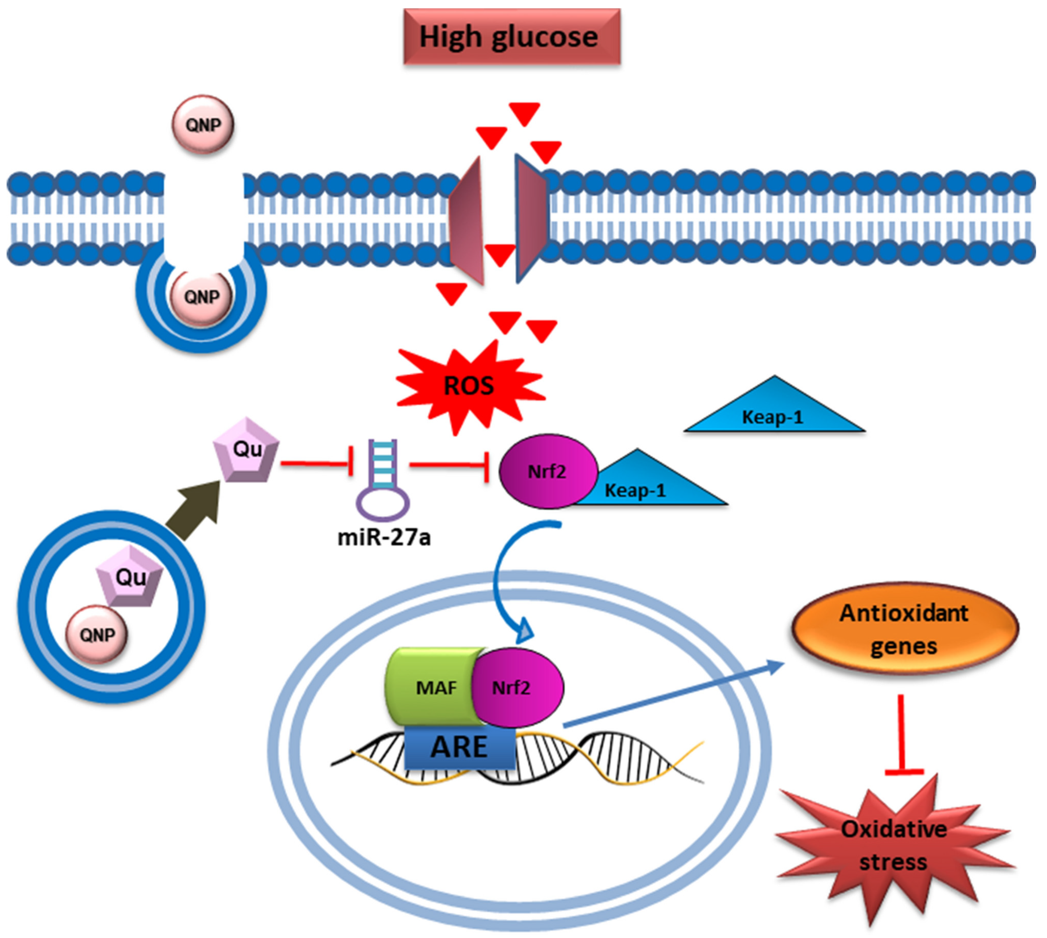 Pharmaceutics 17 00855 g006 Pharmaceutics 17 00855 g006