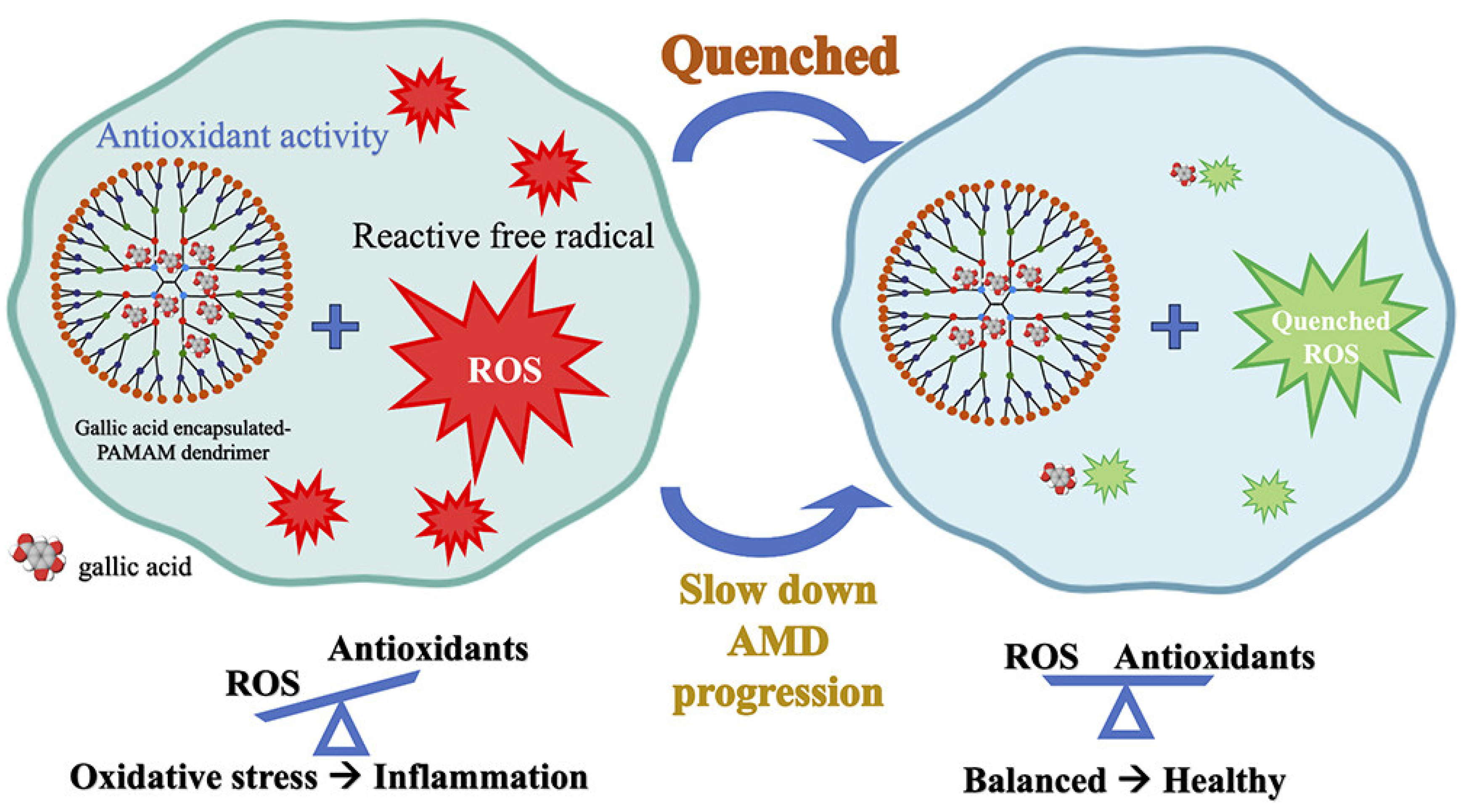 Pharmaceutics 17 00855 g007 Pharmaceutics 17 00855 g007
