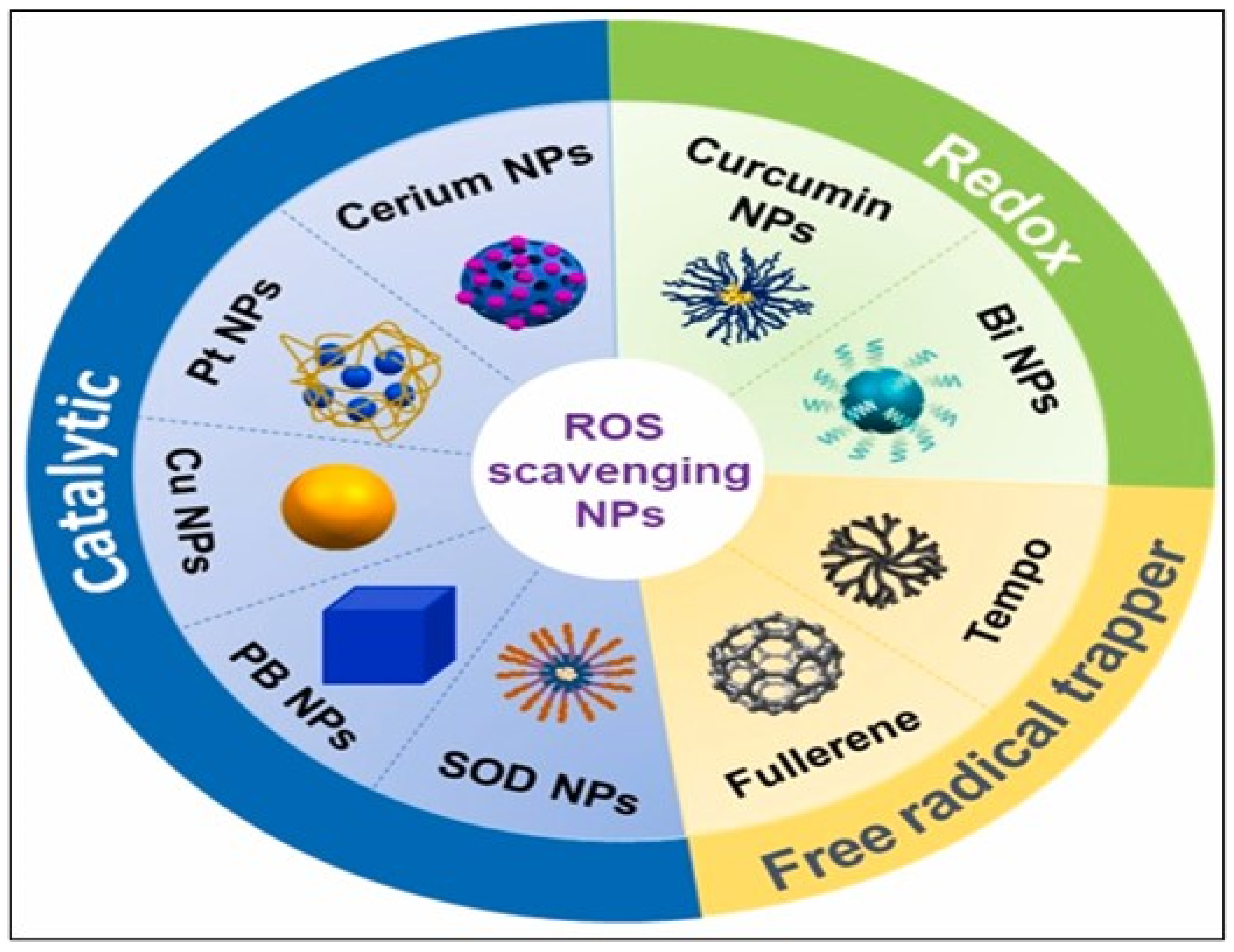 Pharmaceutics 17 00855 g008 Pharmaceutics 17 00855 g008