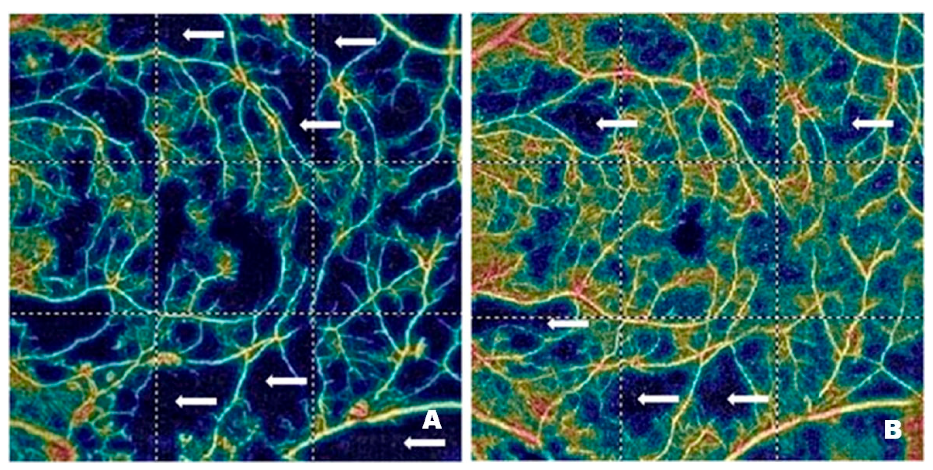 Pharmaceutics 17 00858 g005