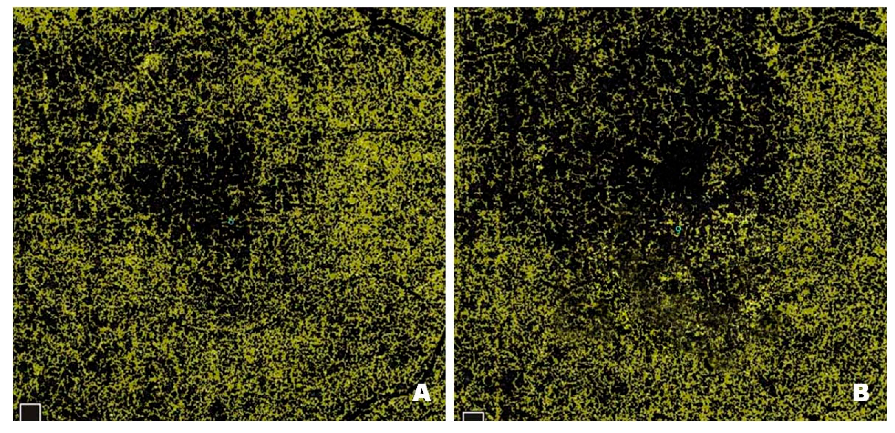Pharmaceutics 17 00858 g008