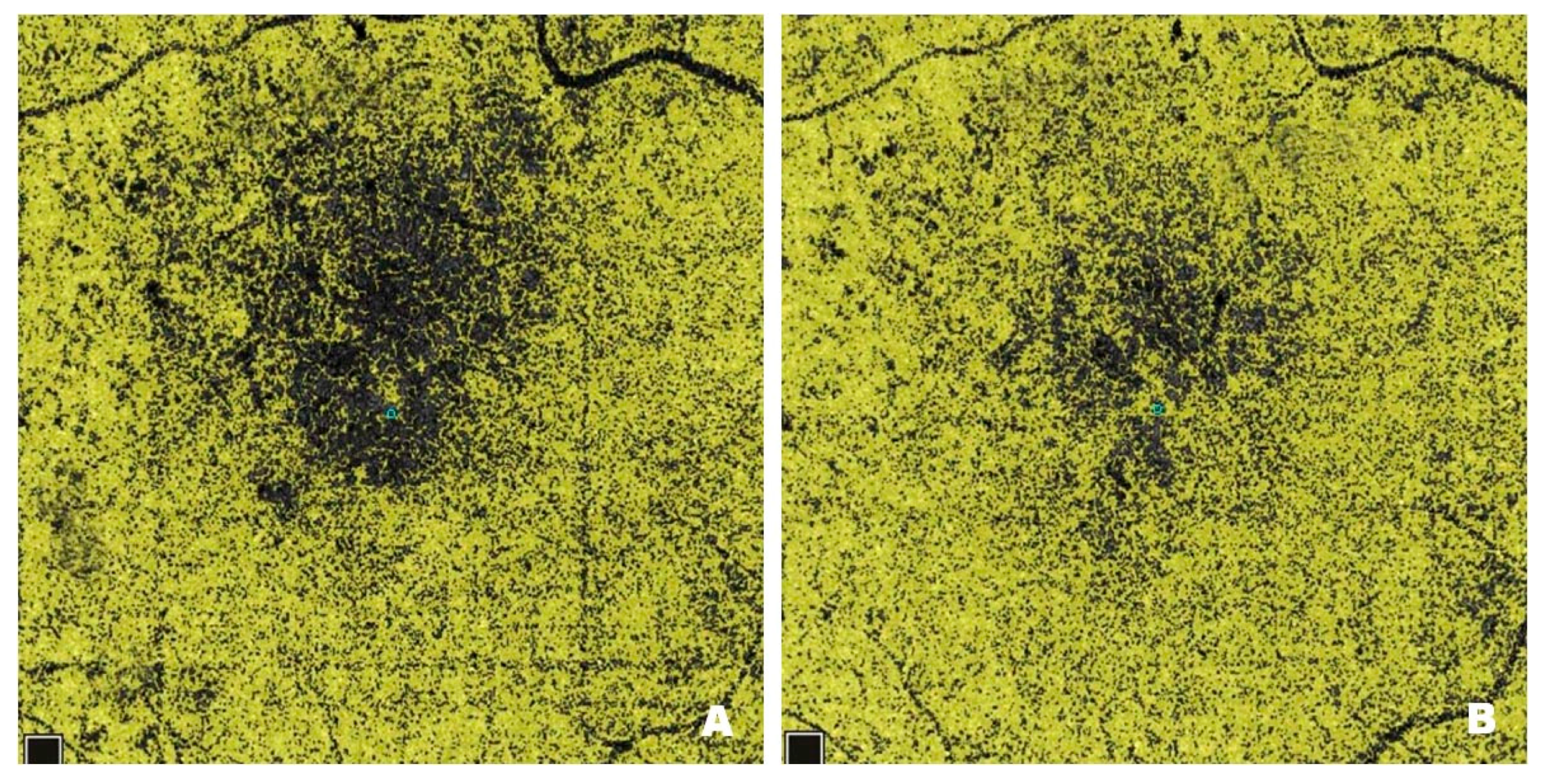 Pharmaceutics 17 00858 g009