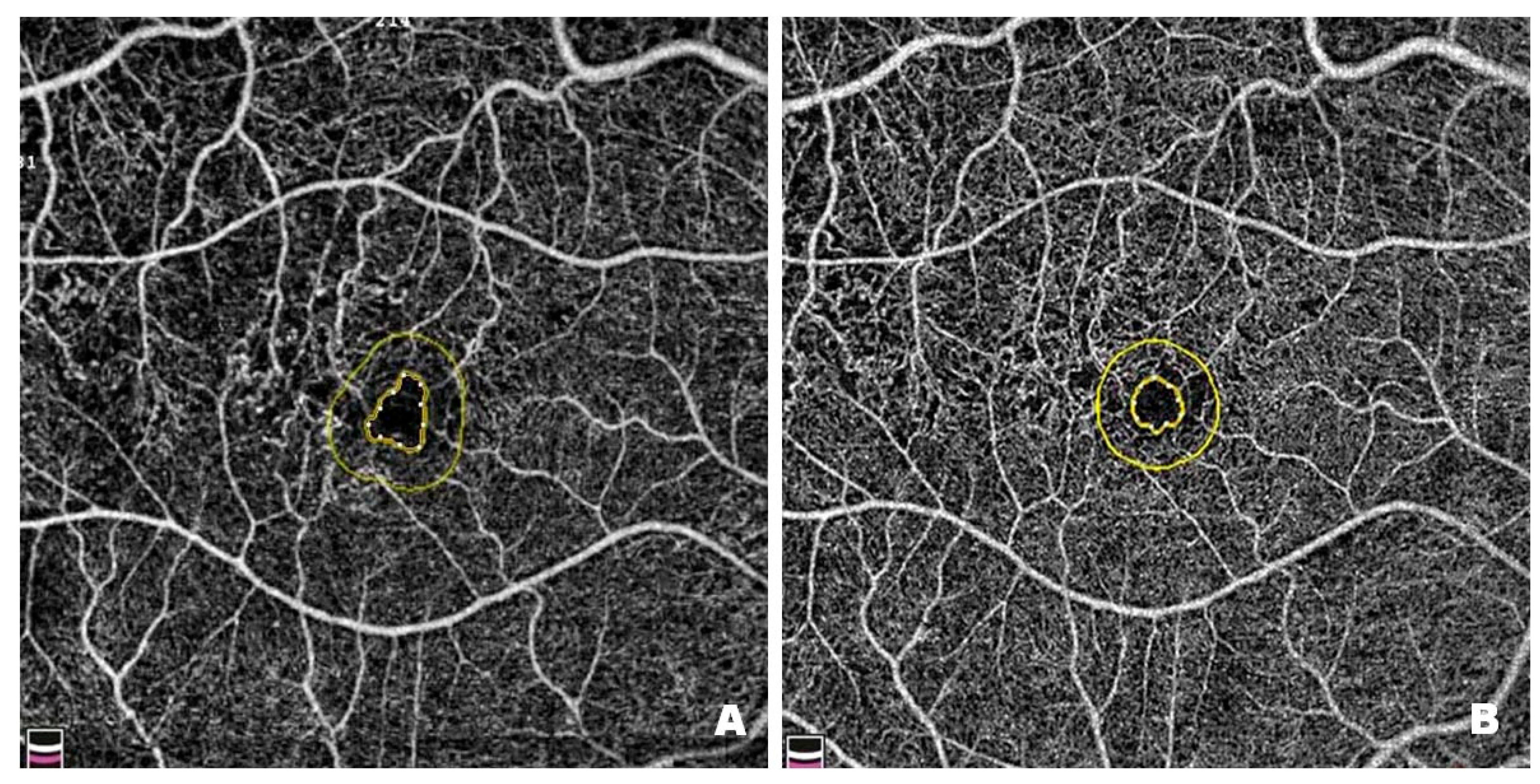 Pharmaceutics 17 00858 g010