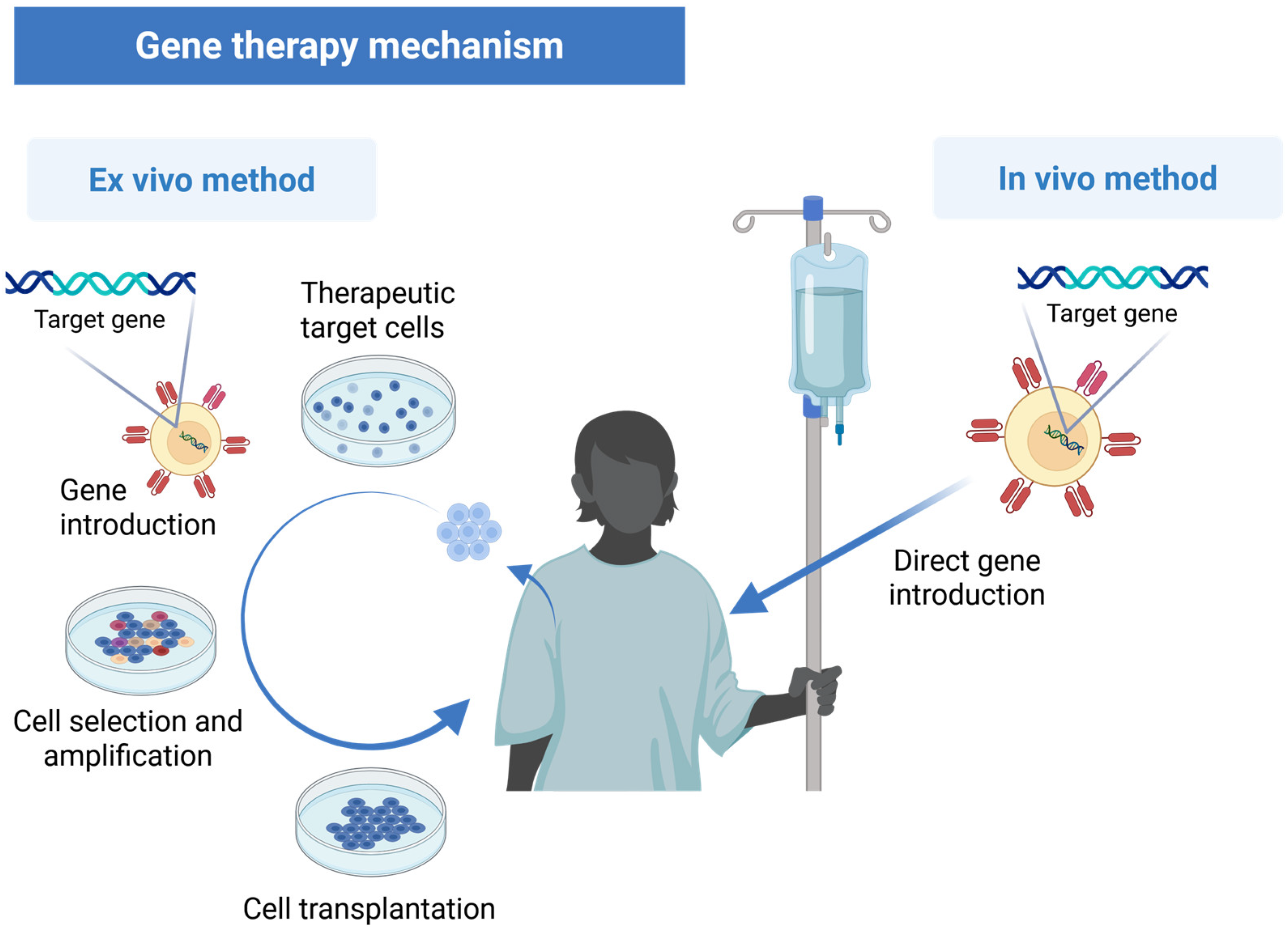 Pharmaceutics 17 00859 g002