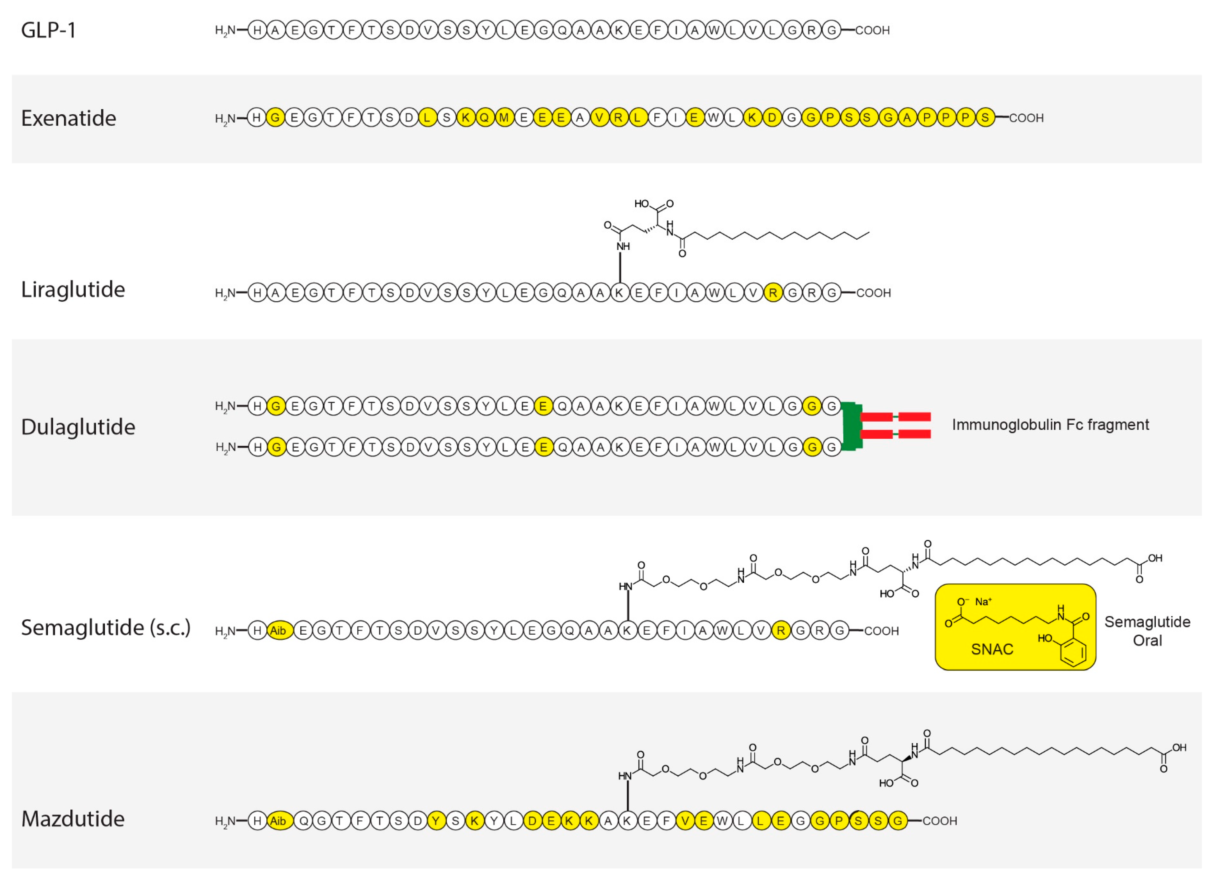 Pharmaceutics 17 00865 g003