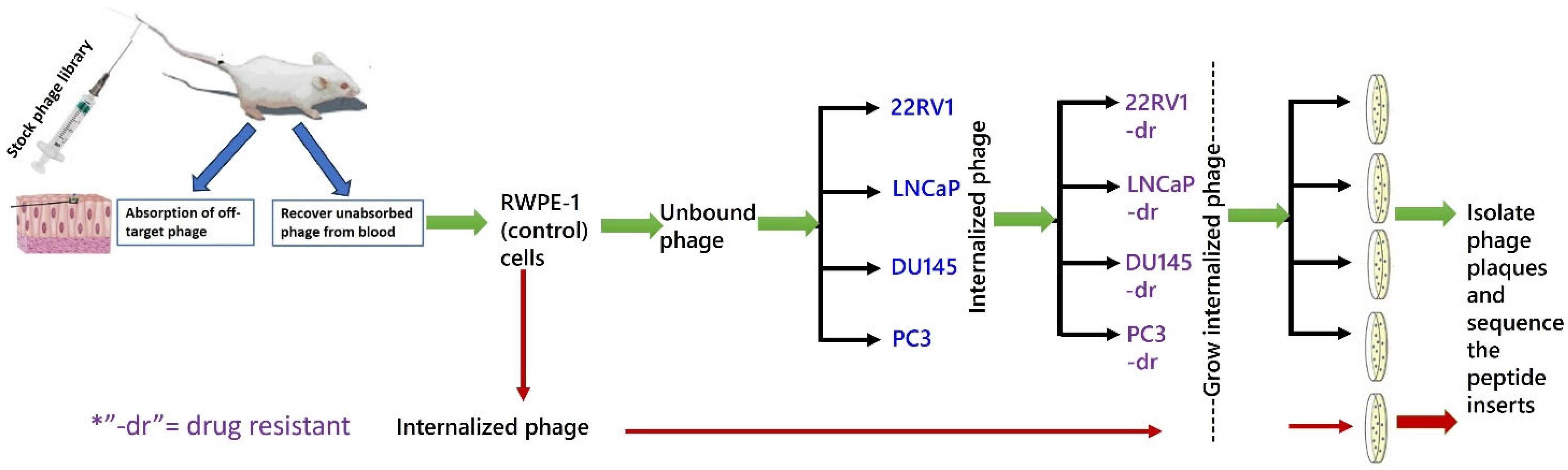 Pharmaceutics 17 00866 g001