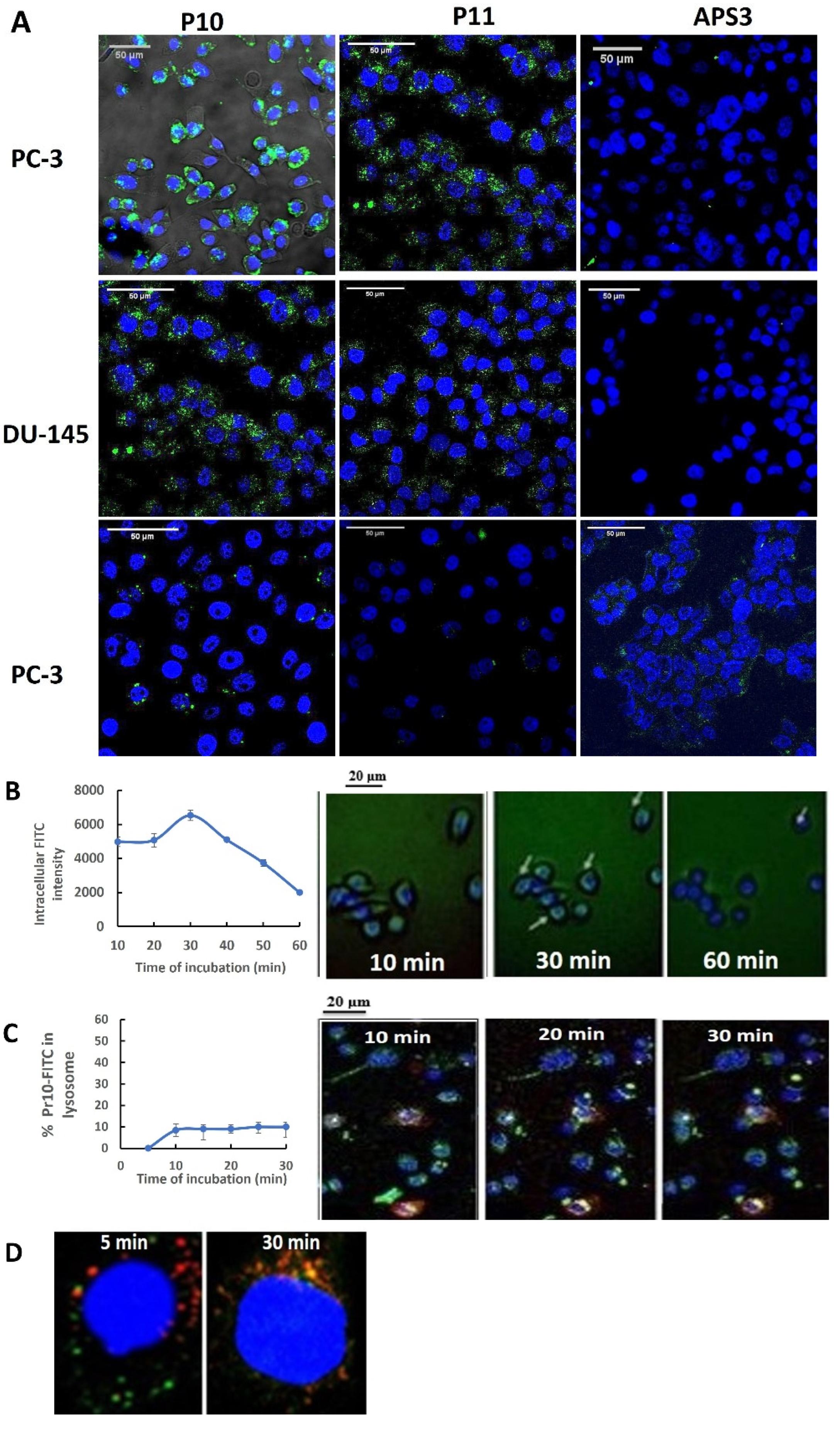 Pharmaceutics 17 00866 g003
