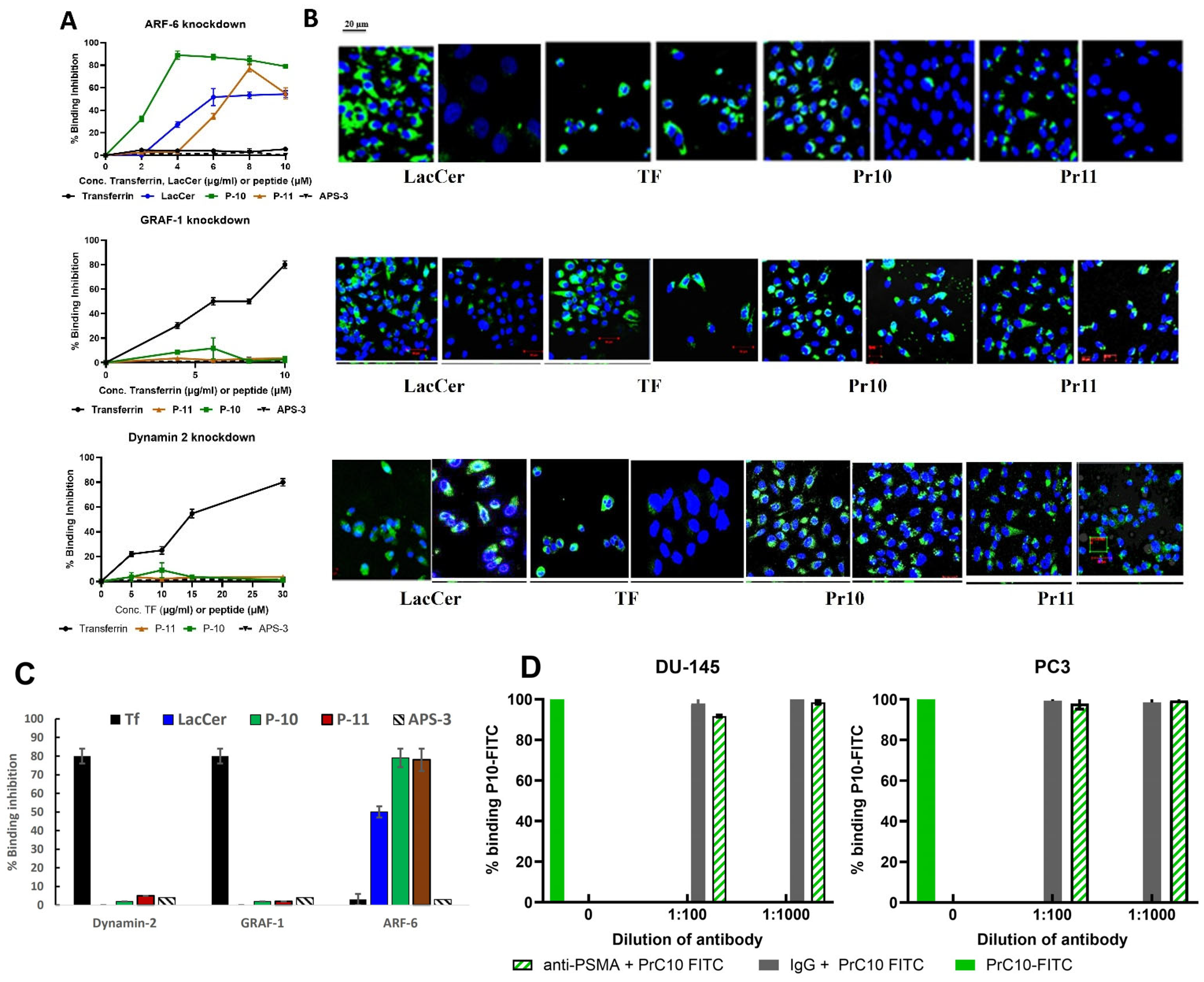 Pharmaceutics 17 00866 g004