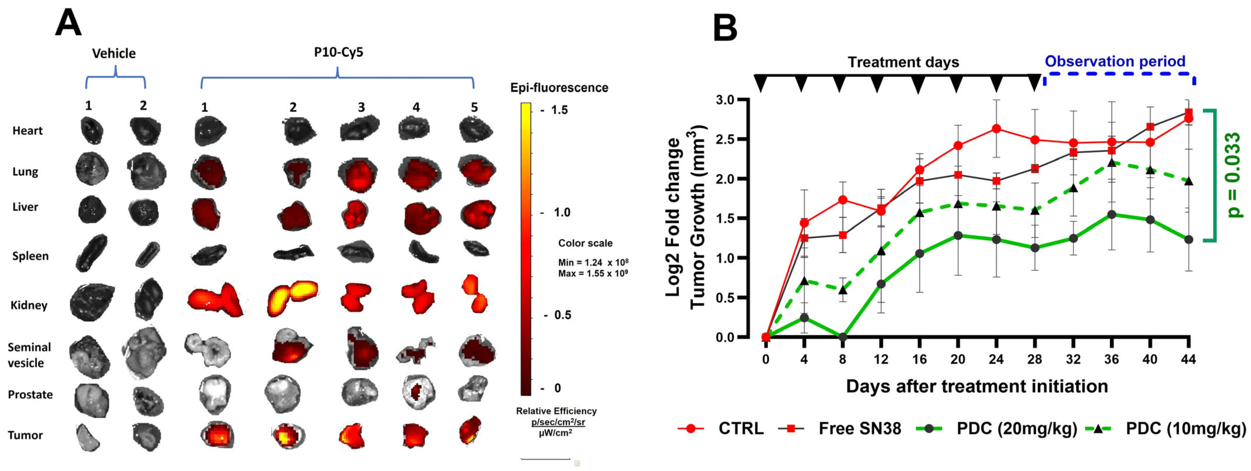 Pharmaceutics 17 00866 g006