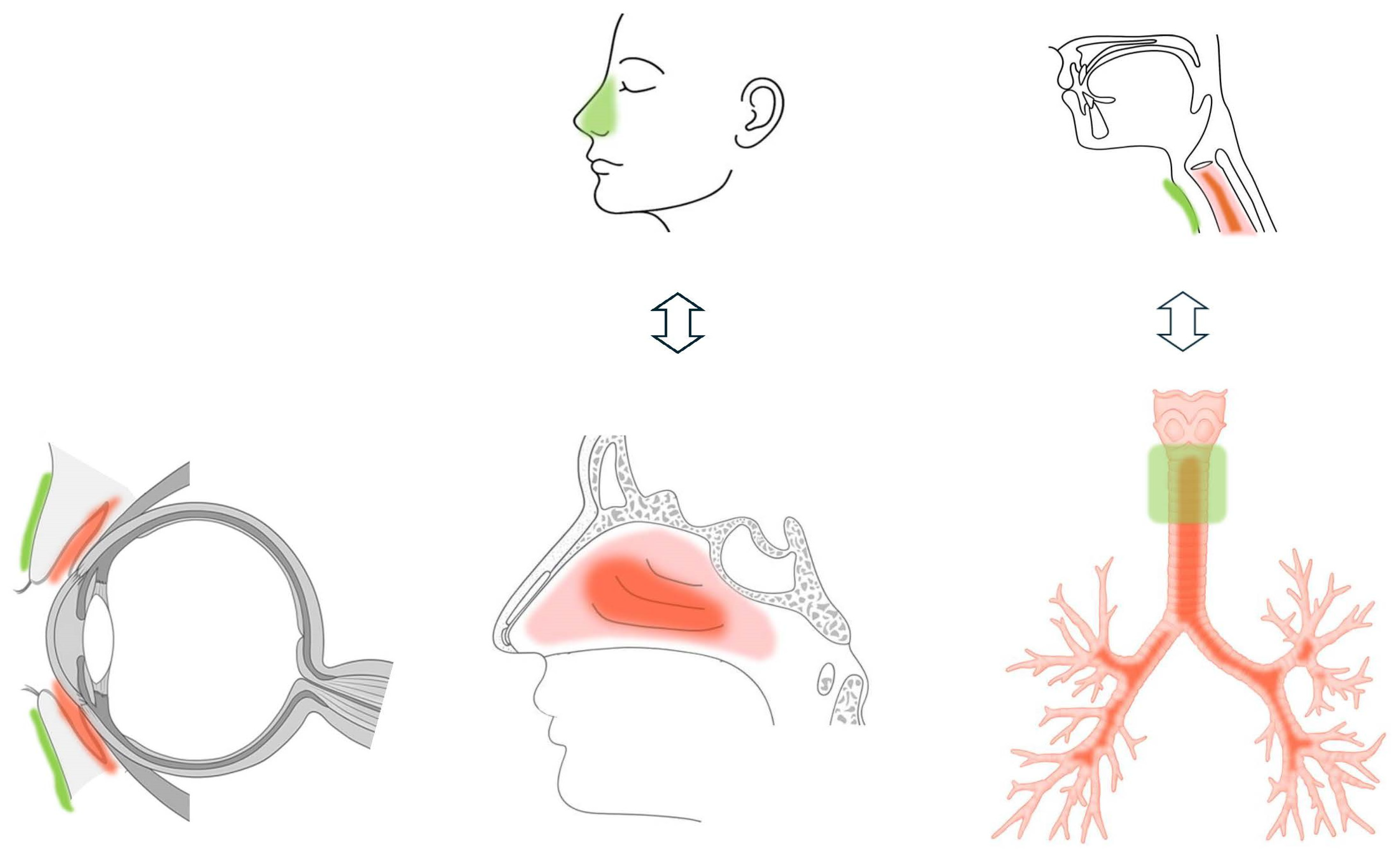 Pharmaceutics 17 00867 g001