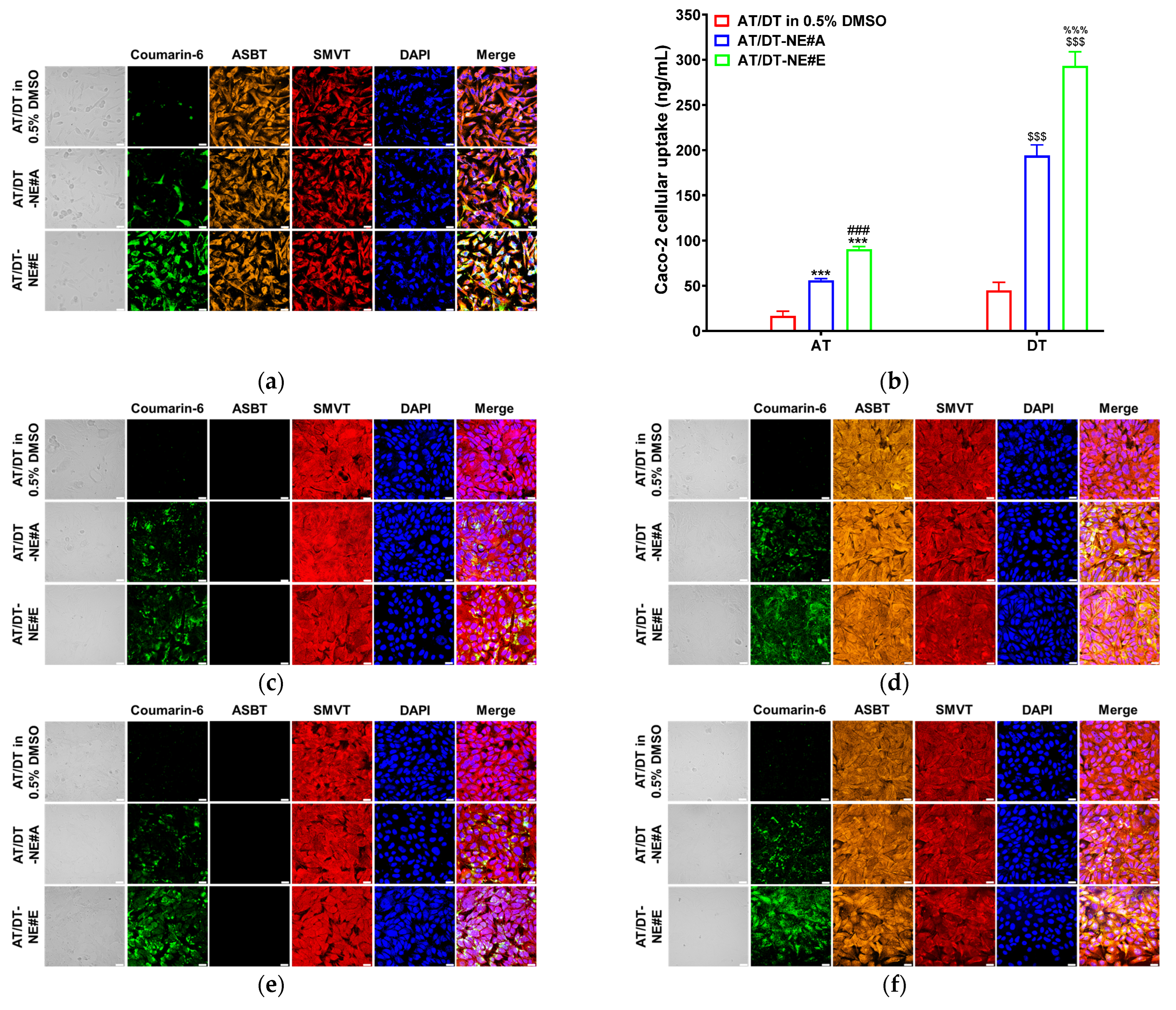 Pharmaceutics 17 00872 g002a