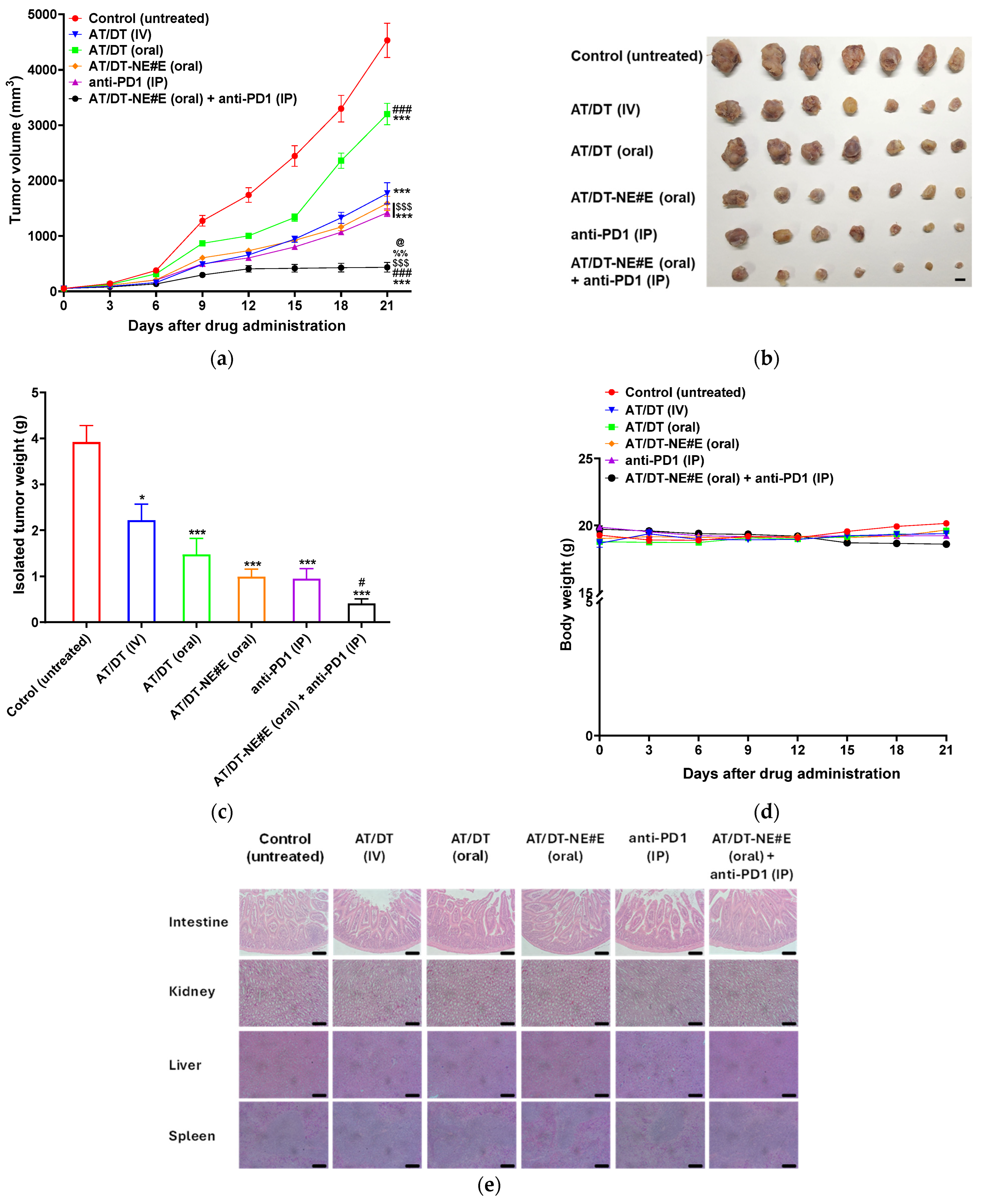 Pharmaceutics 17 00872 g005