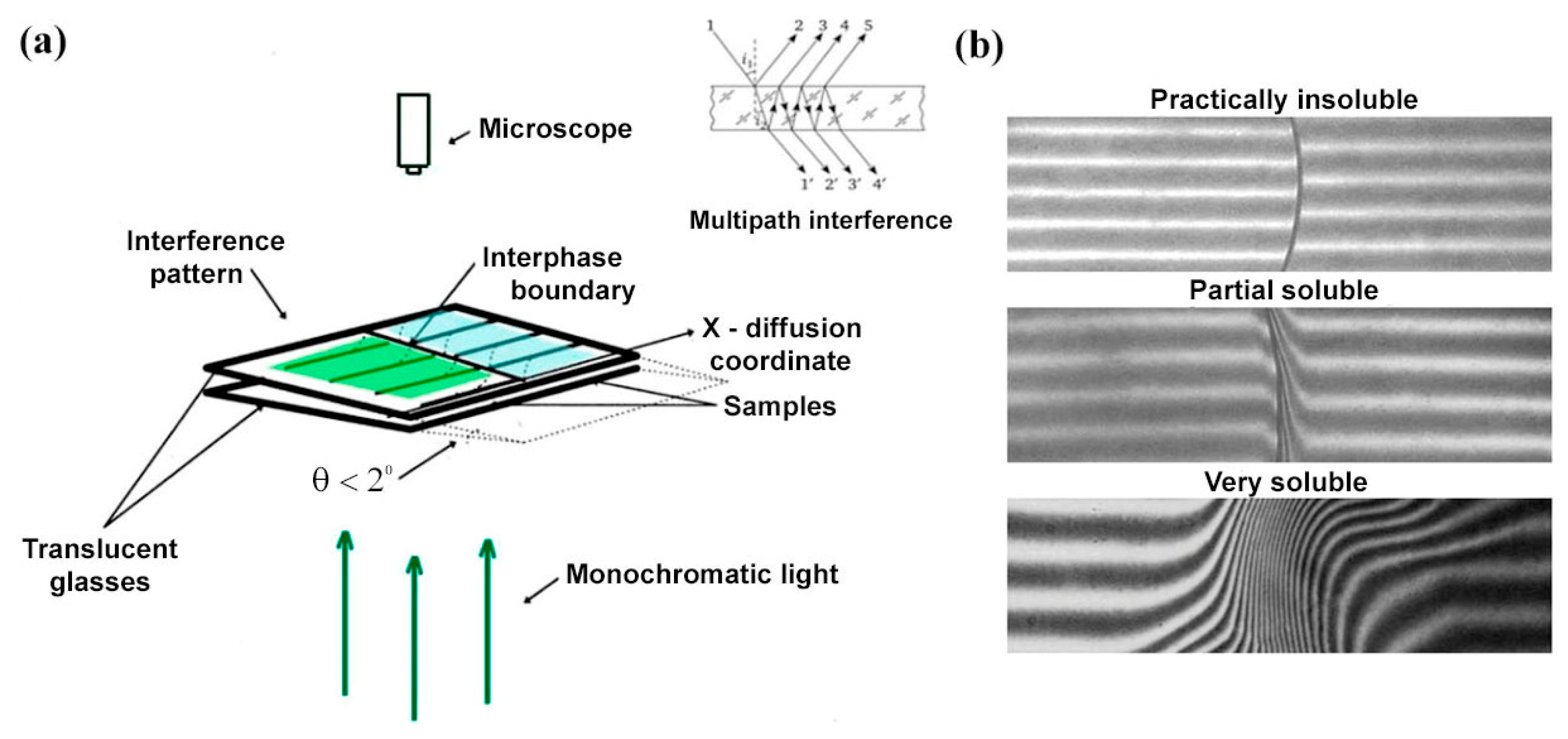 Pharmaceutics 17 00875 g002
