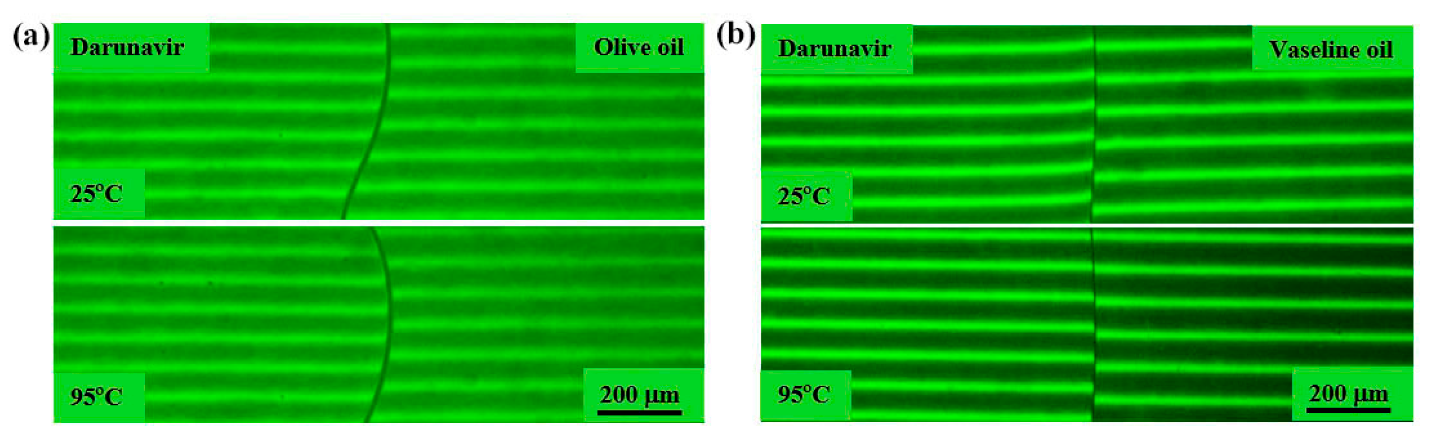 Pharmaceutics 17 00875 g006
