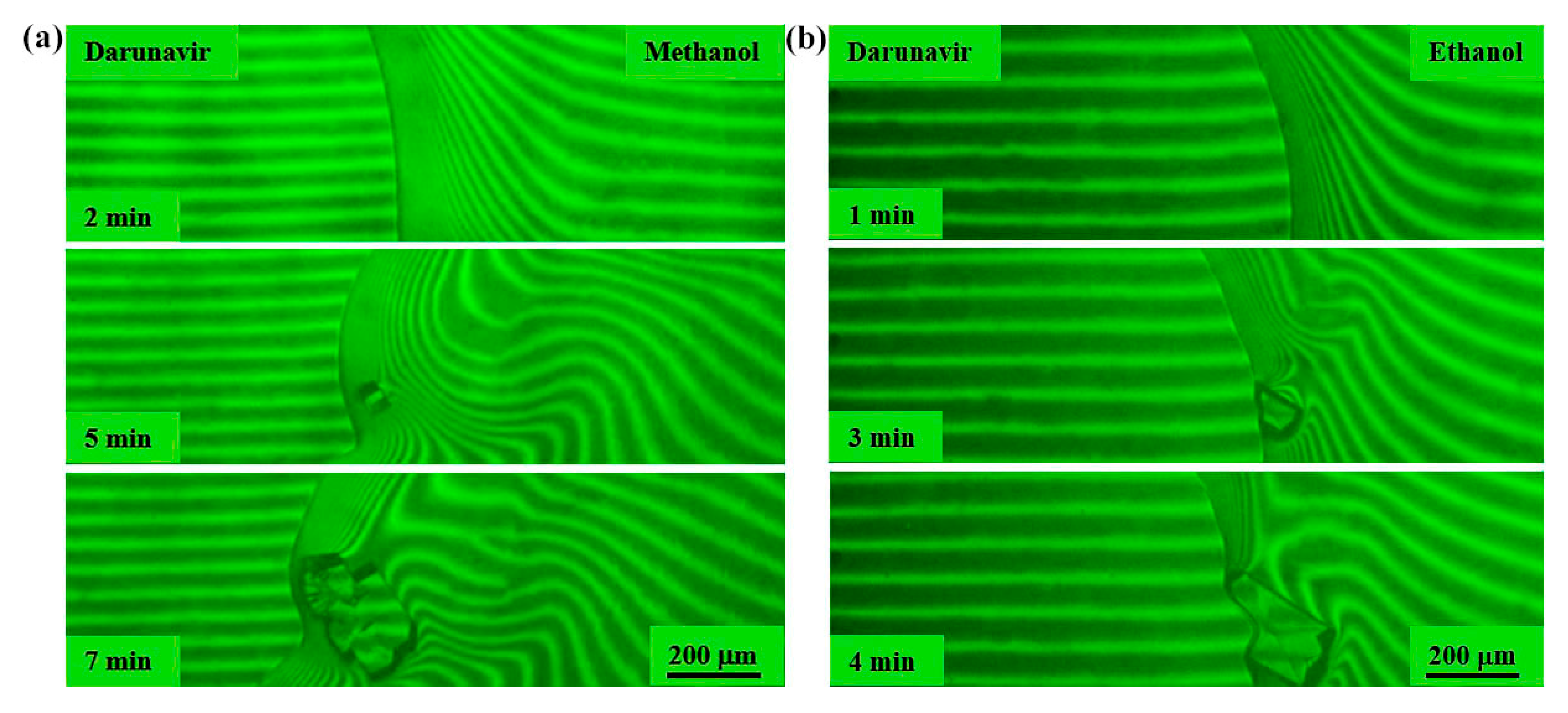 Pharmaceutics 17 00875 g009