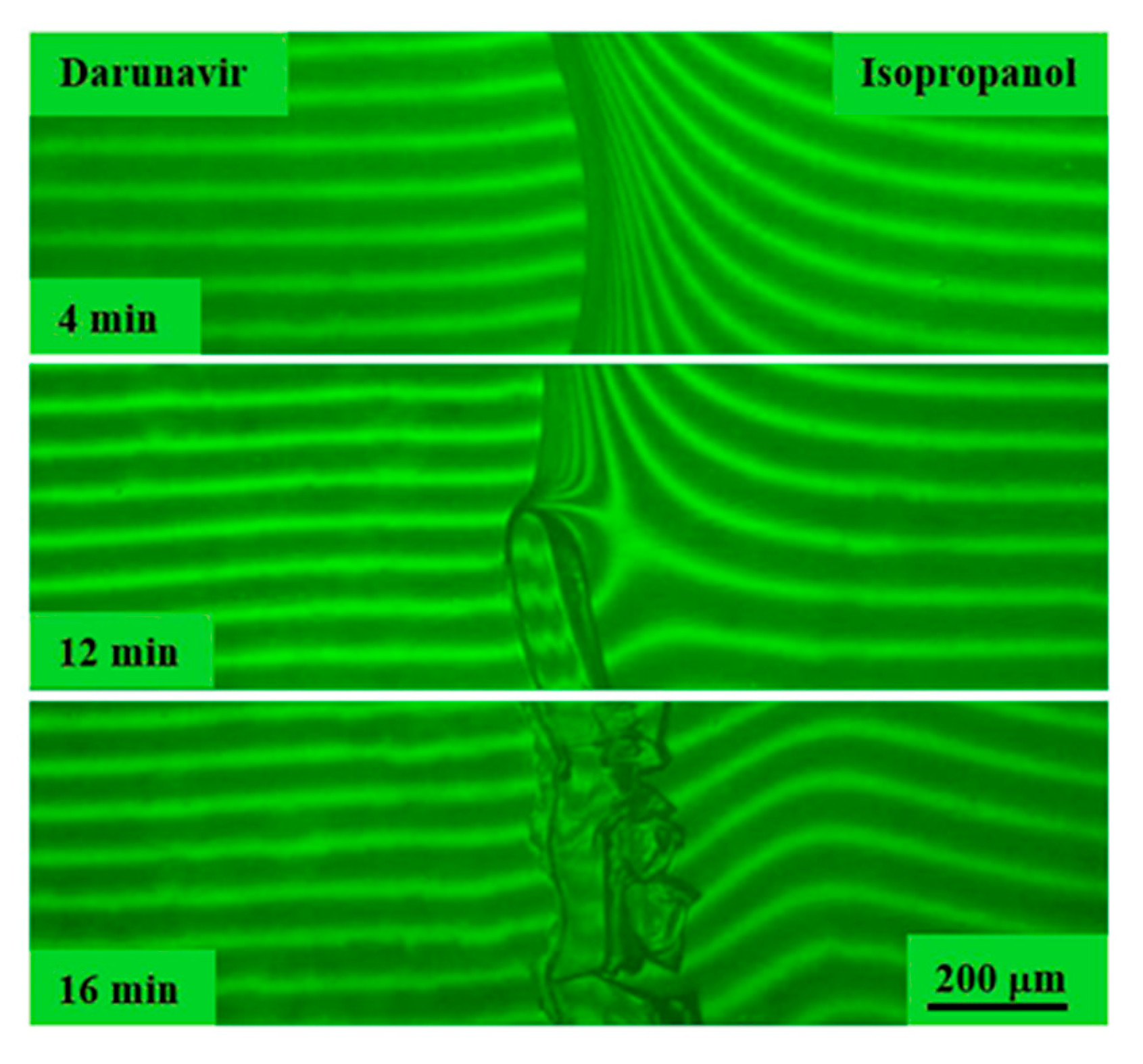 Pharmaceutics 17 00875 g010