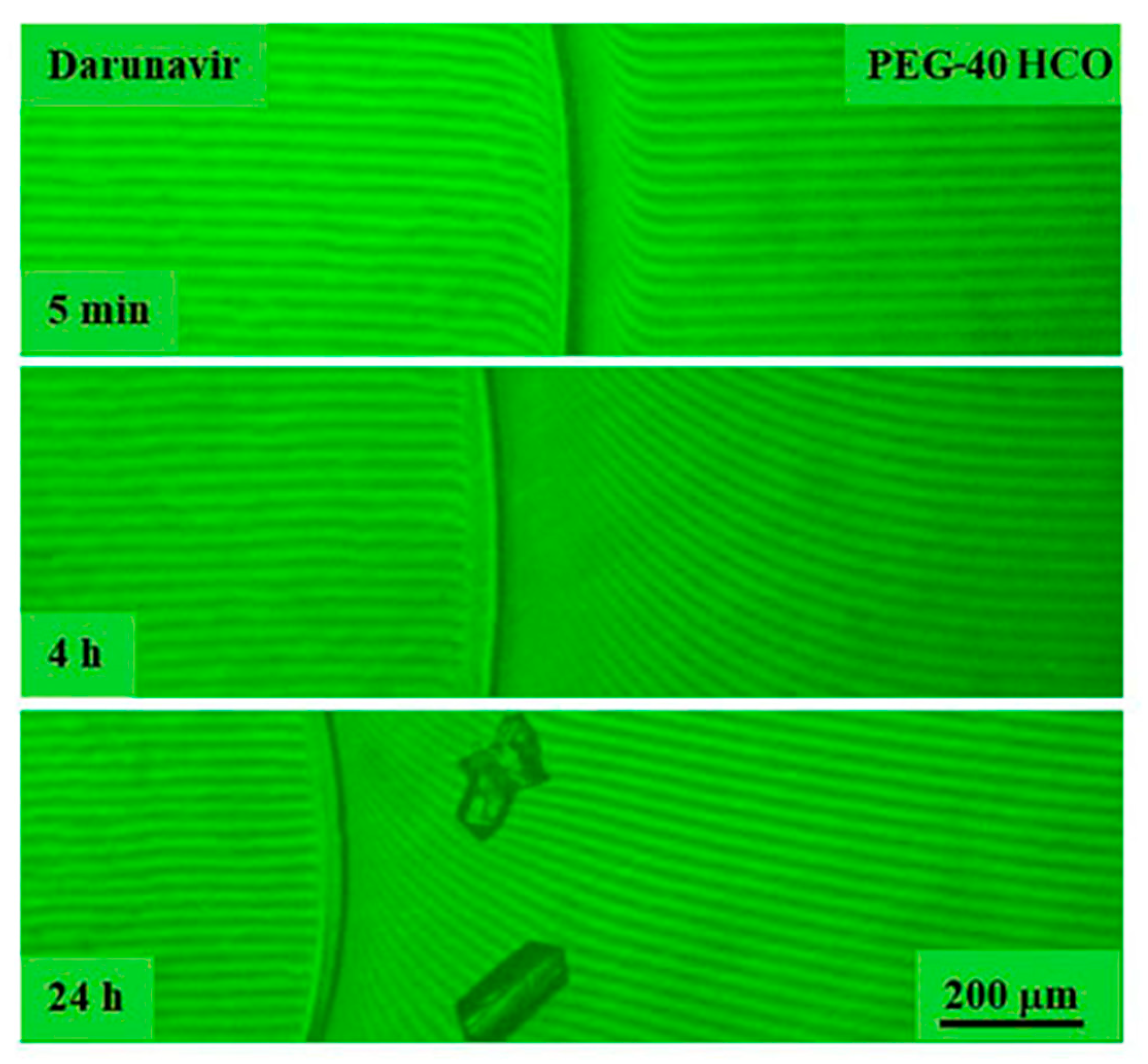 Pharmaceutics 17 00875 g014