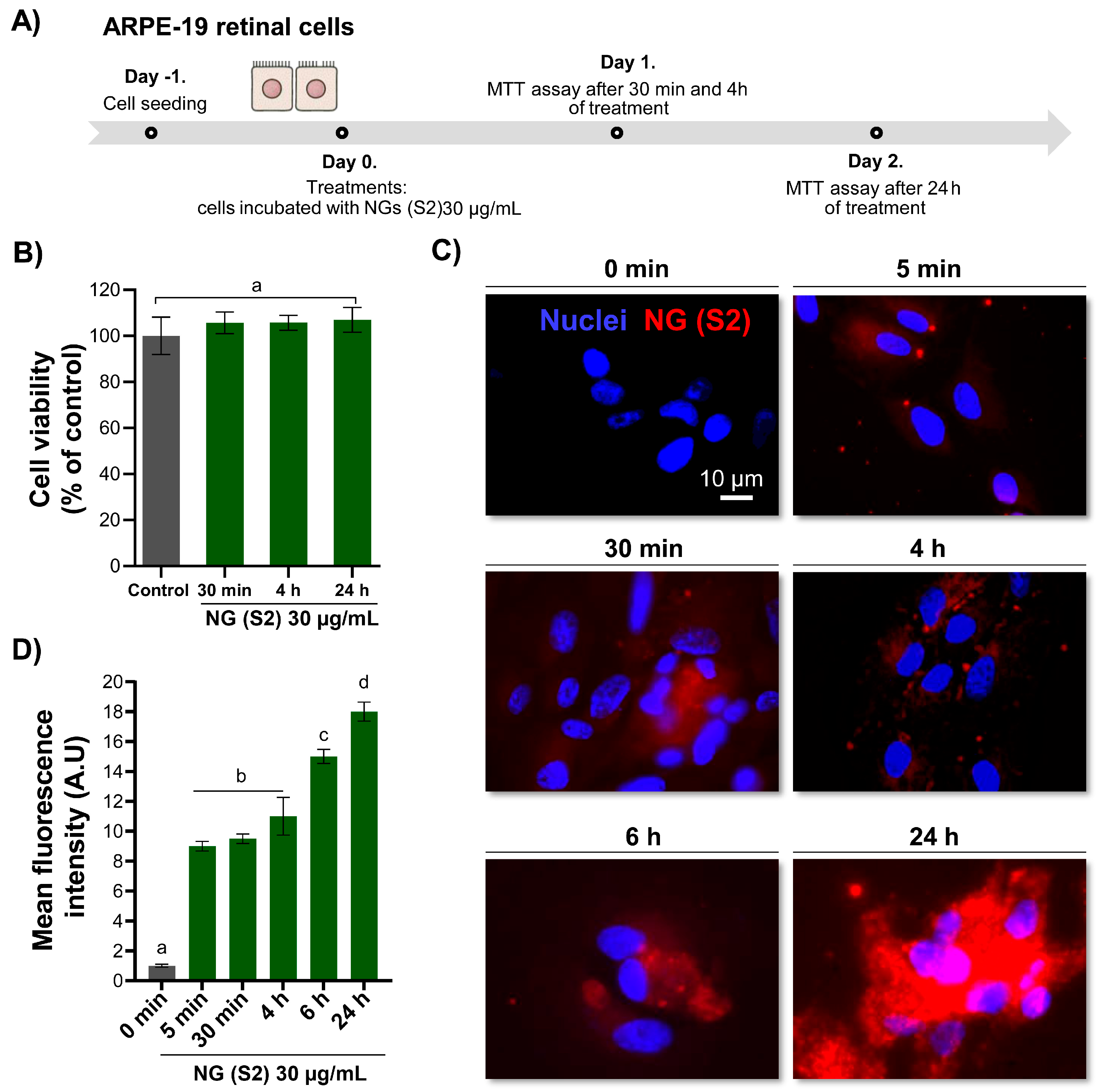 Pharmaceutics 17 00876 g010