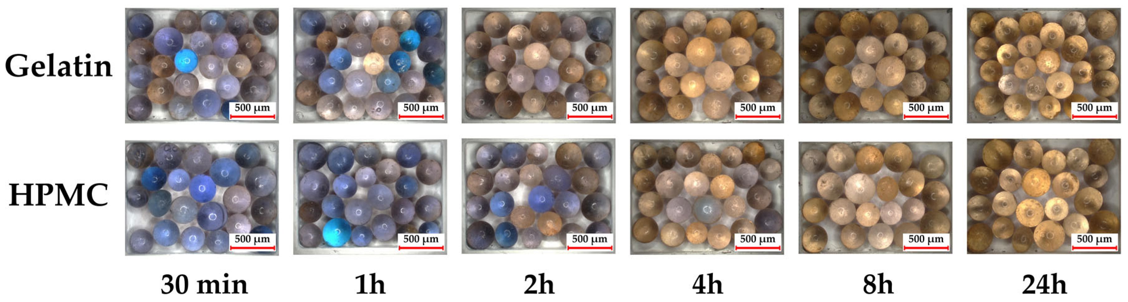 Pharmaceutics 17 00877 g004