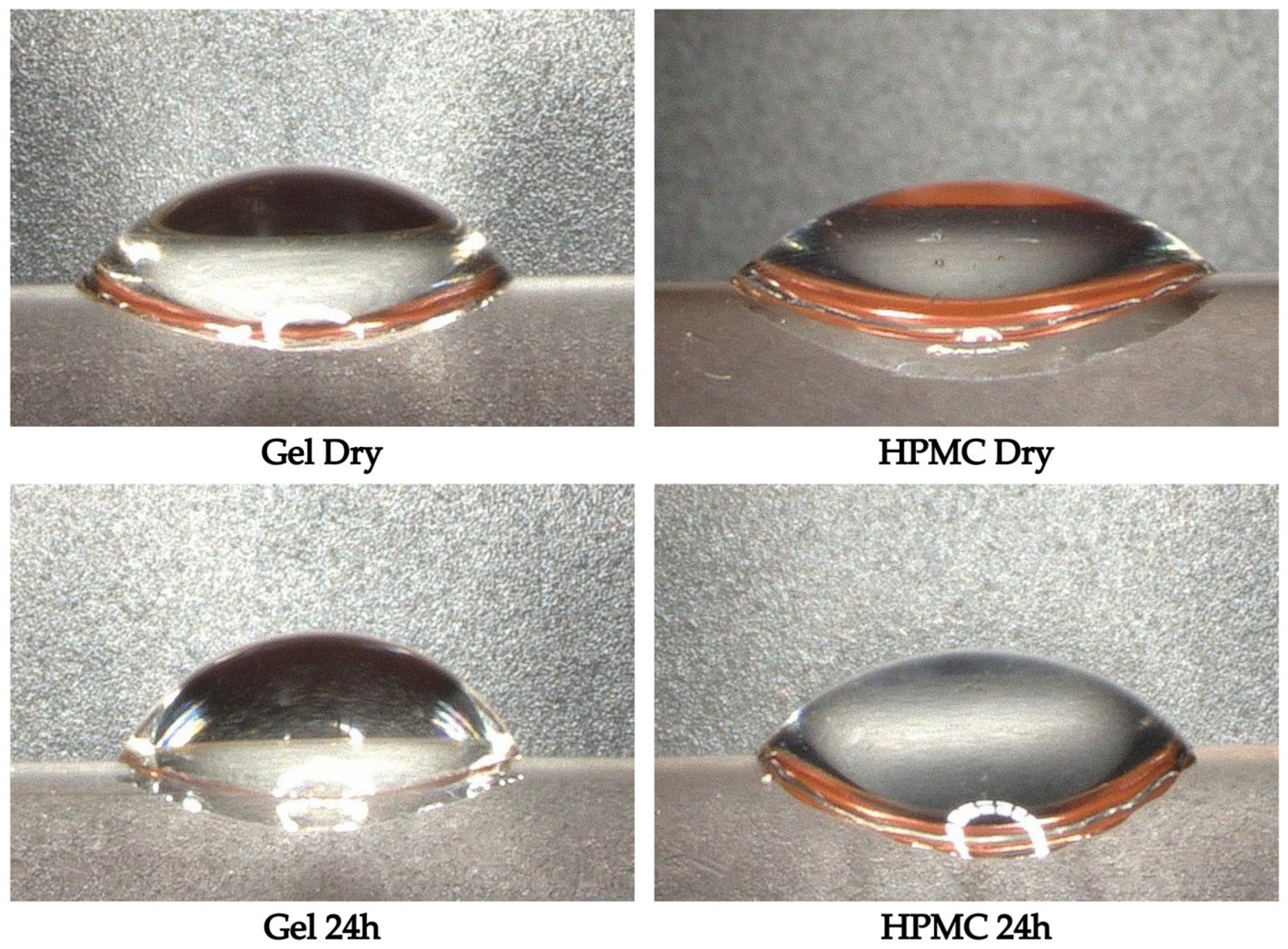 Pharmaceutics 17 00877 g005
