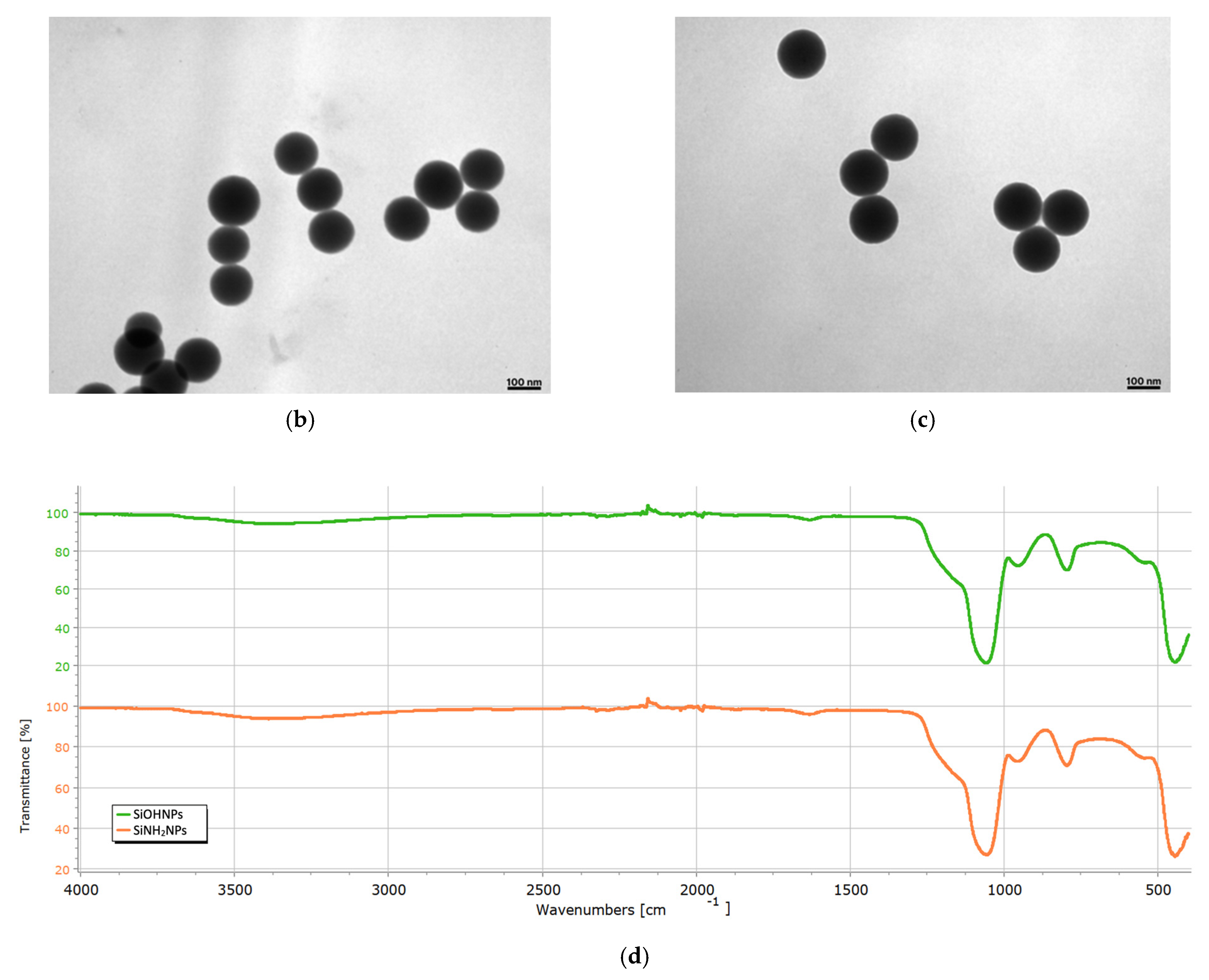 Pharmaceutics 17 00879 g001b