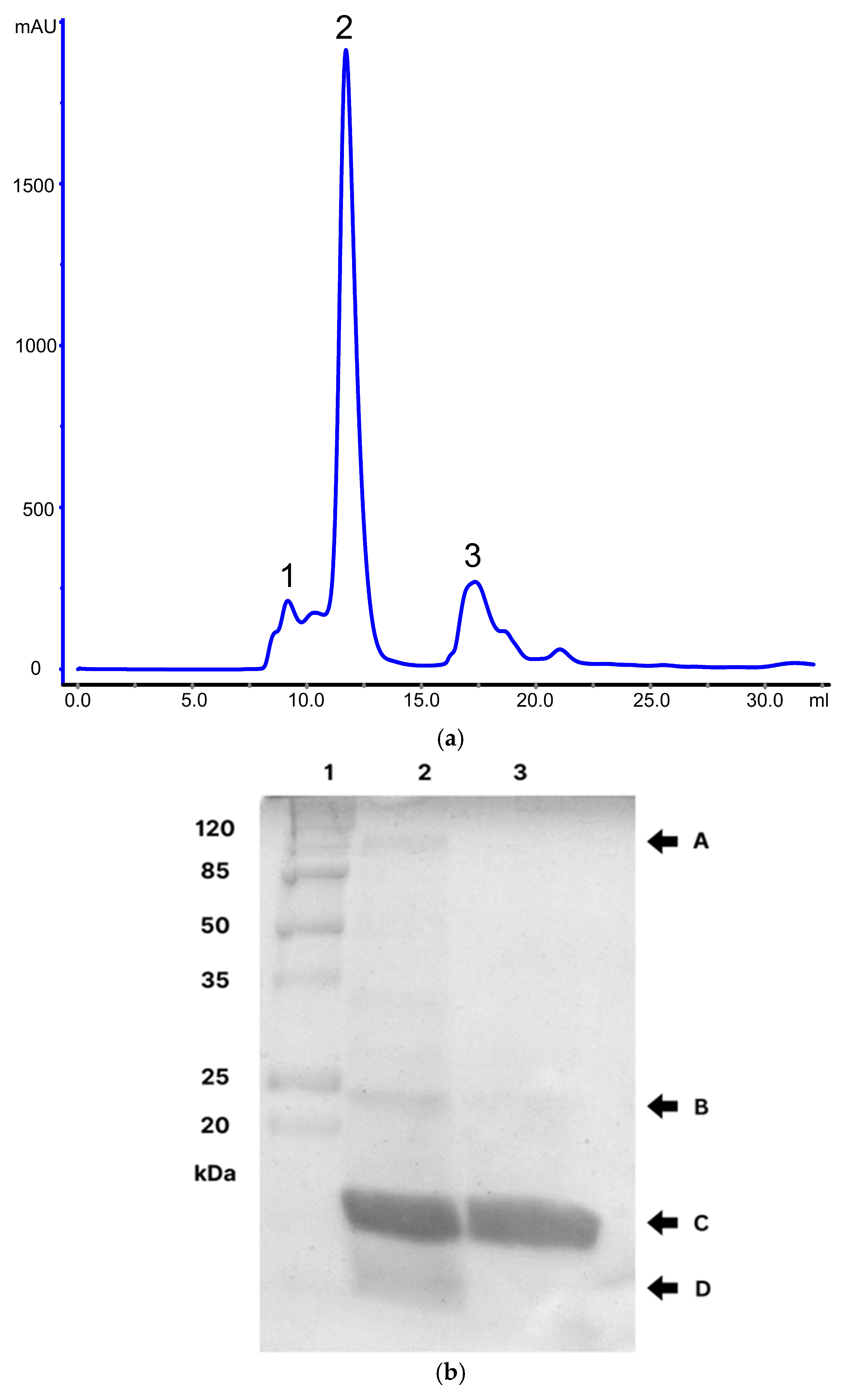 Pharmaceutics 17 00879 g002