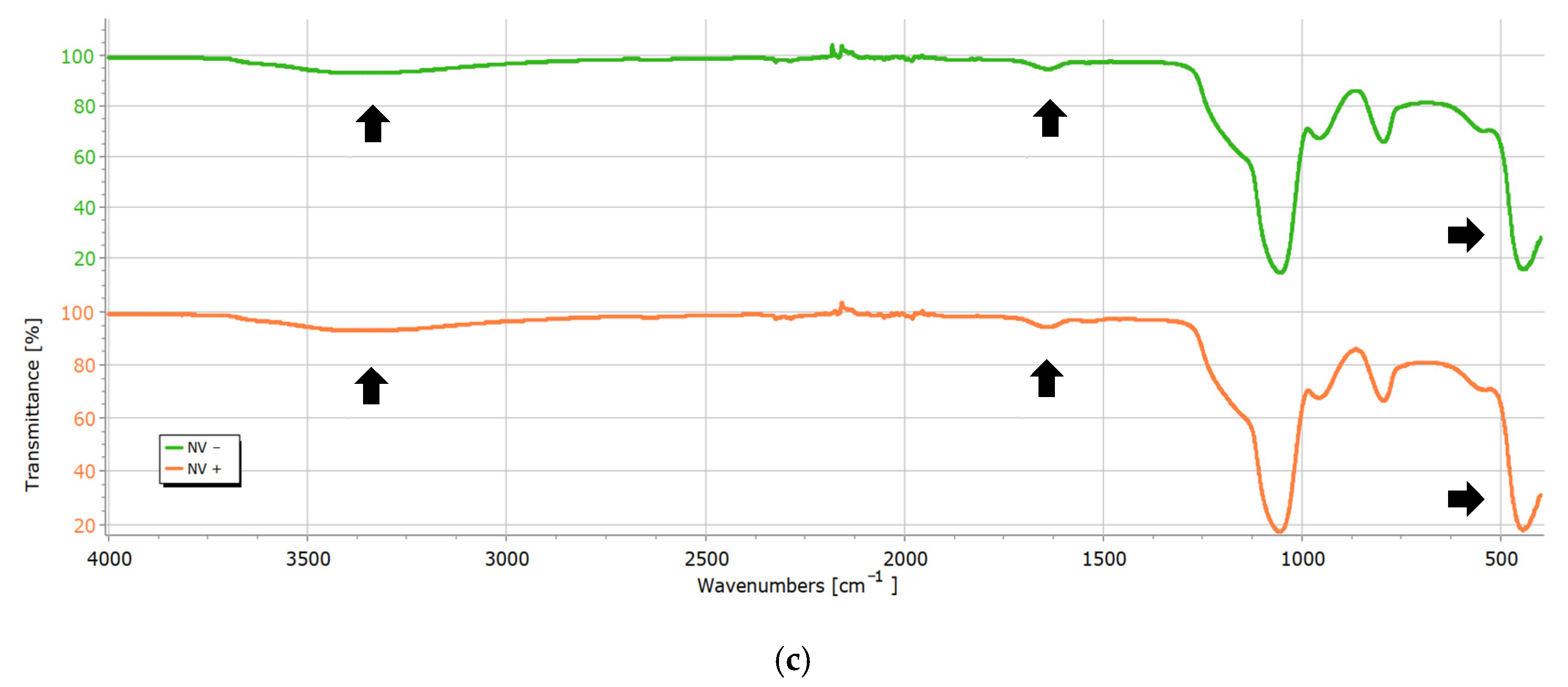 Pharmaceutics 17 00879 g004b