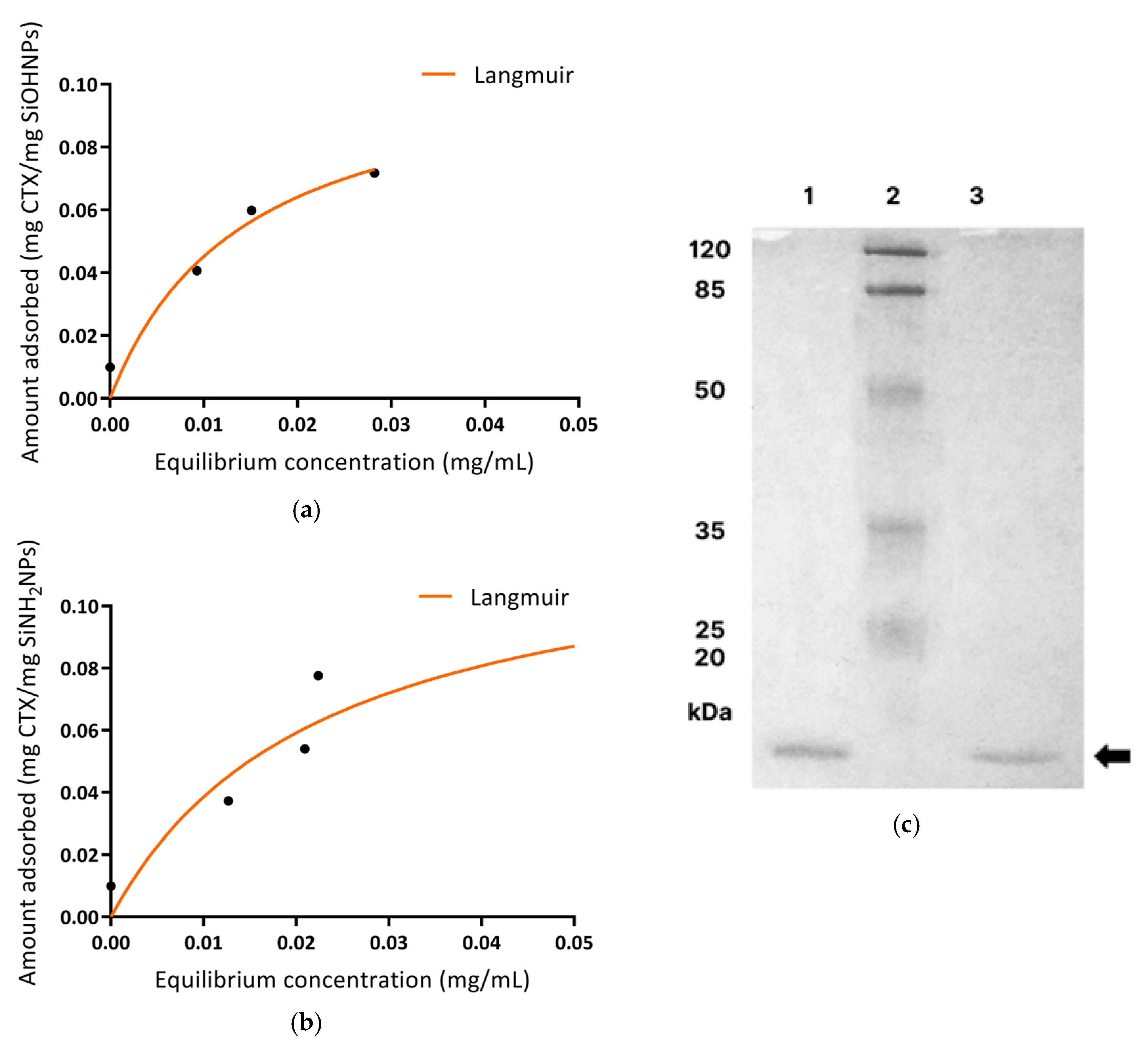 Pharmaceutics 17 00879 g005