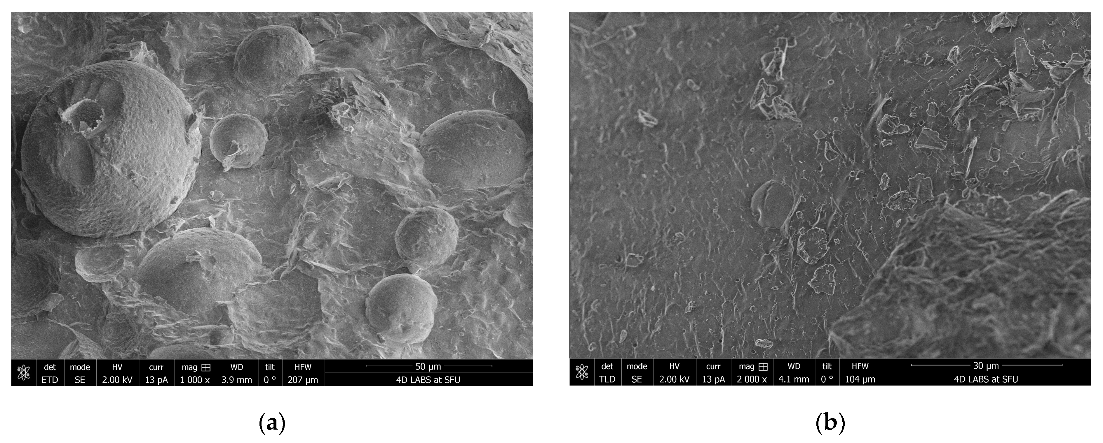 Pharmaceutics 17 00880 g005