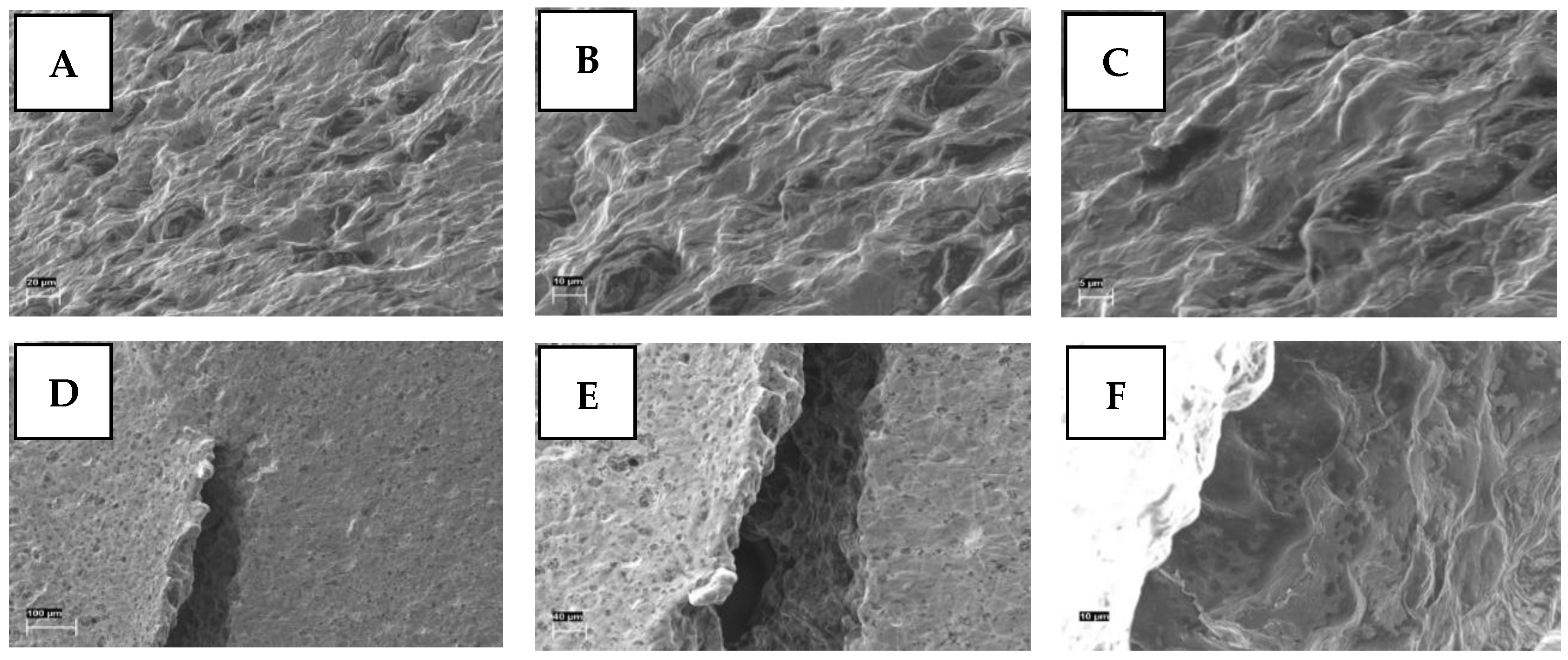Pharmaceutics 17 00881 g007